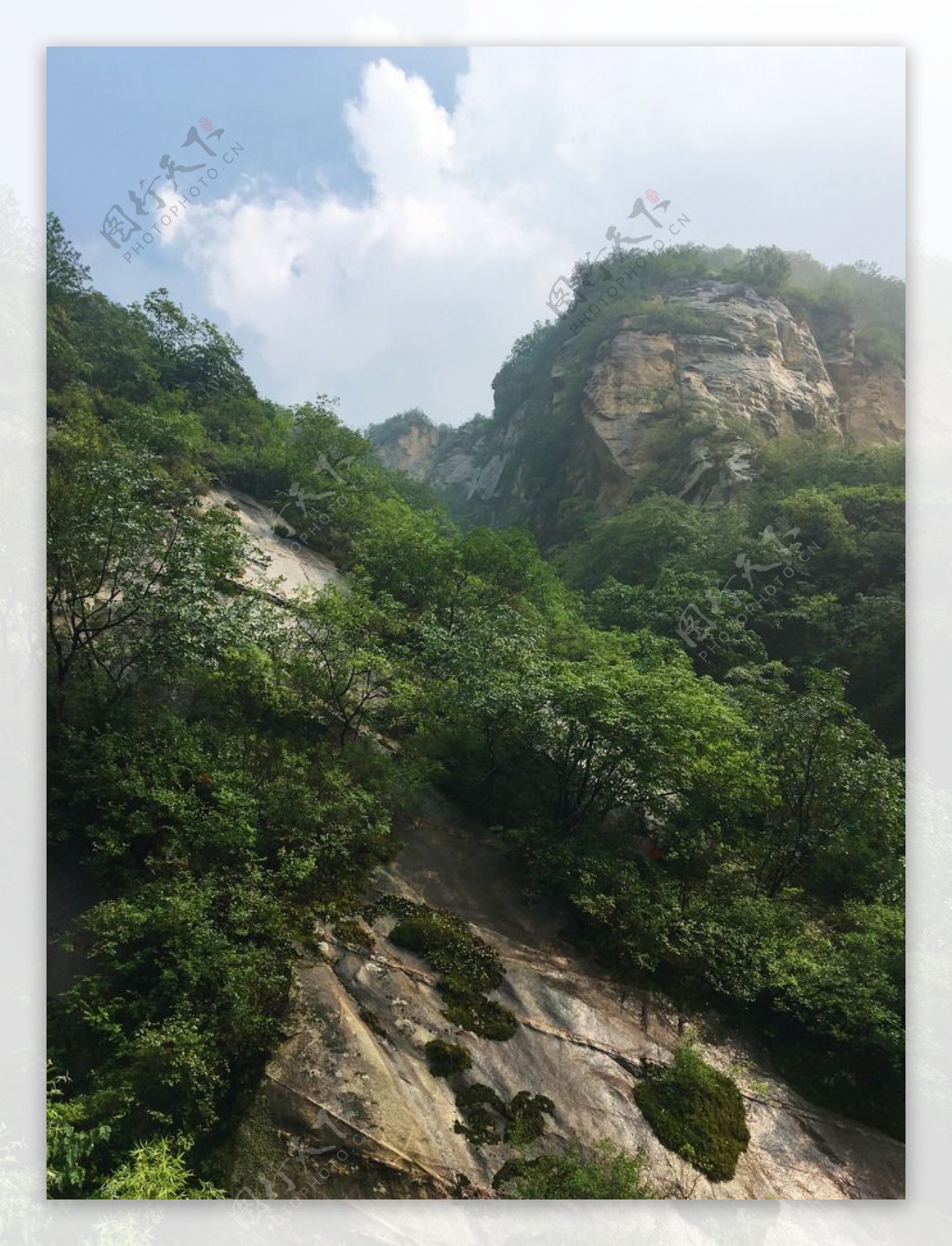 雨后山林