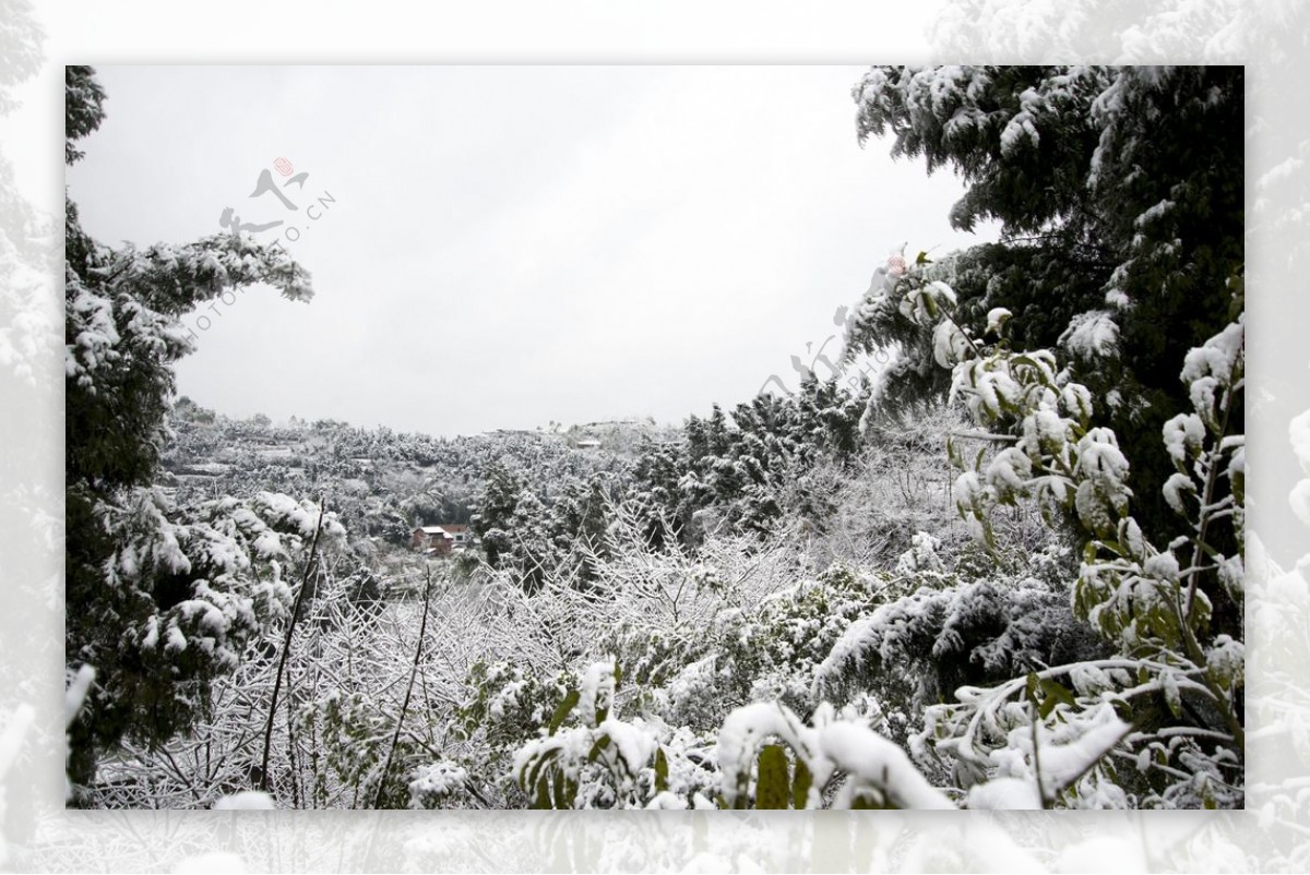 农村雪景