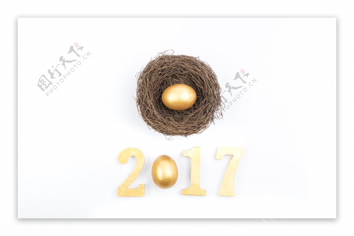 2017和鸟窝鸡蛋摆拍