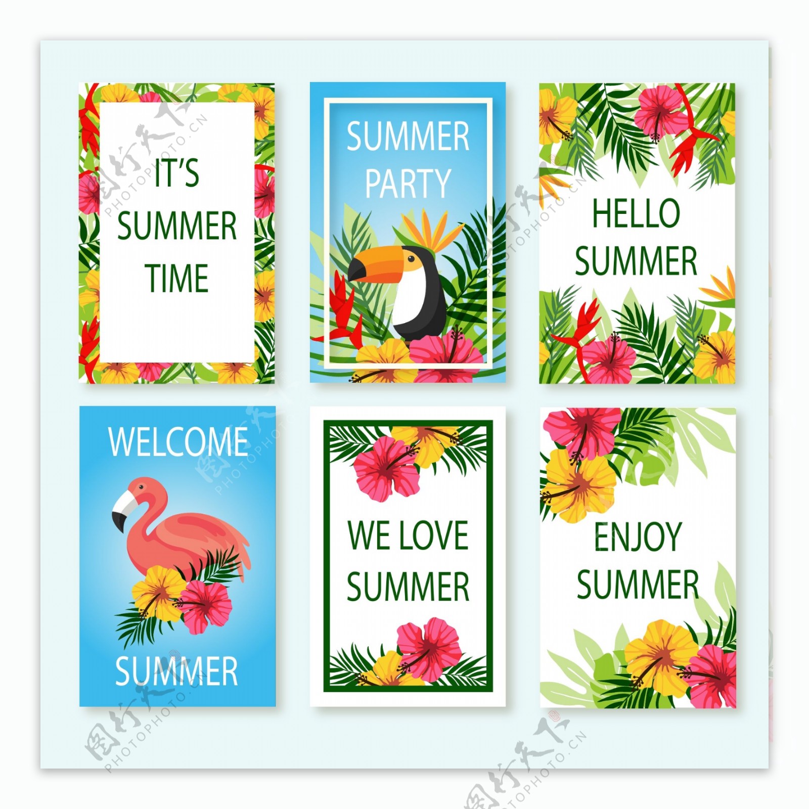 夏季热带花鸟卡片