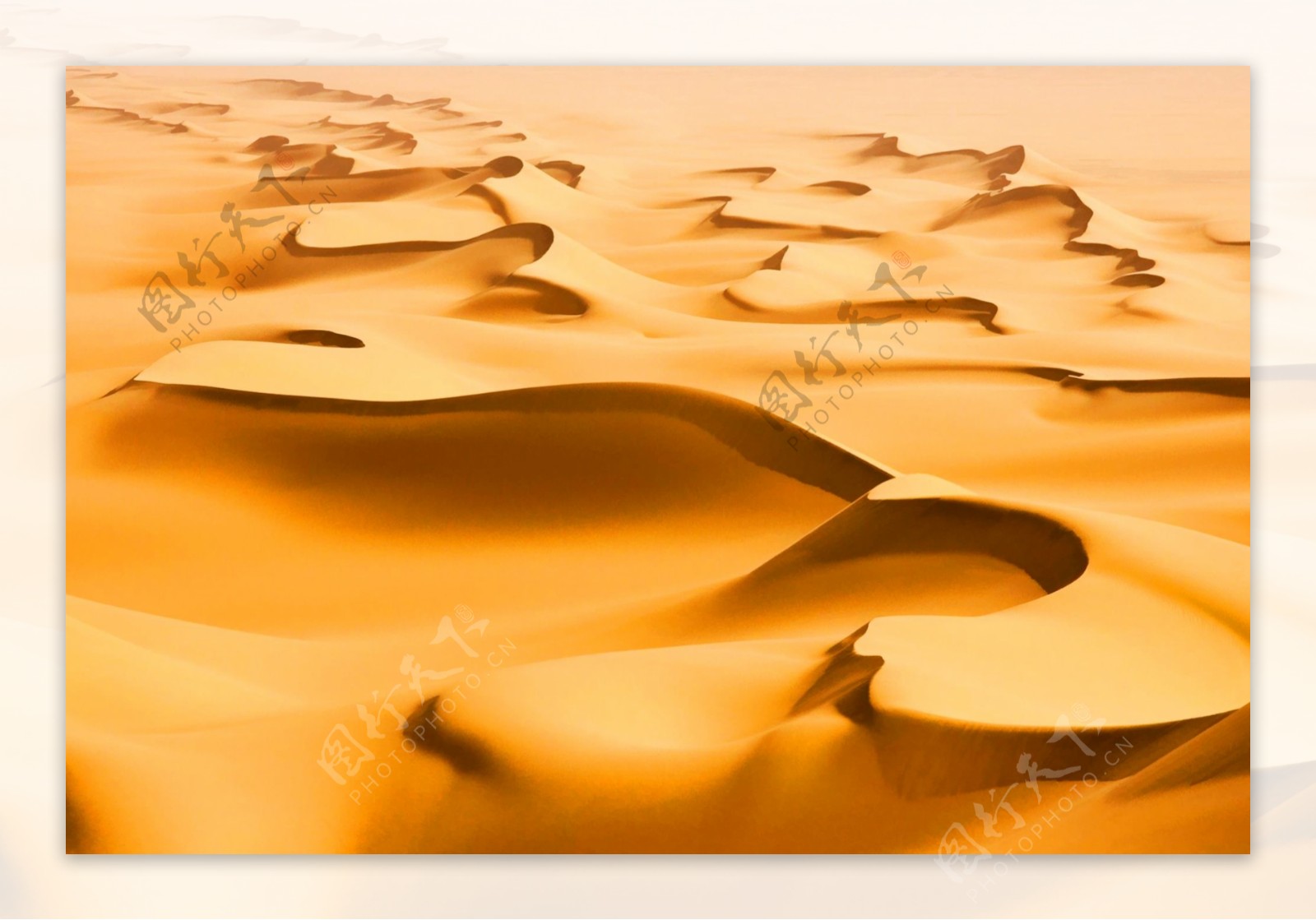 金色沙丘艺术壁画