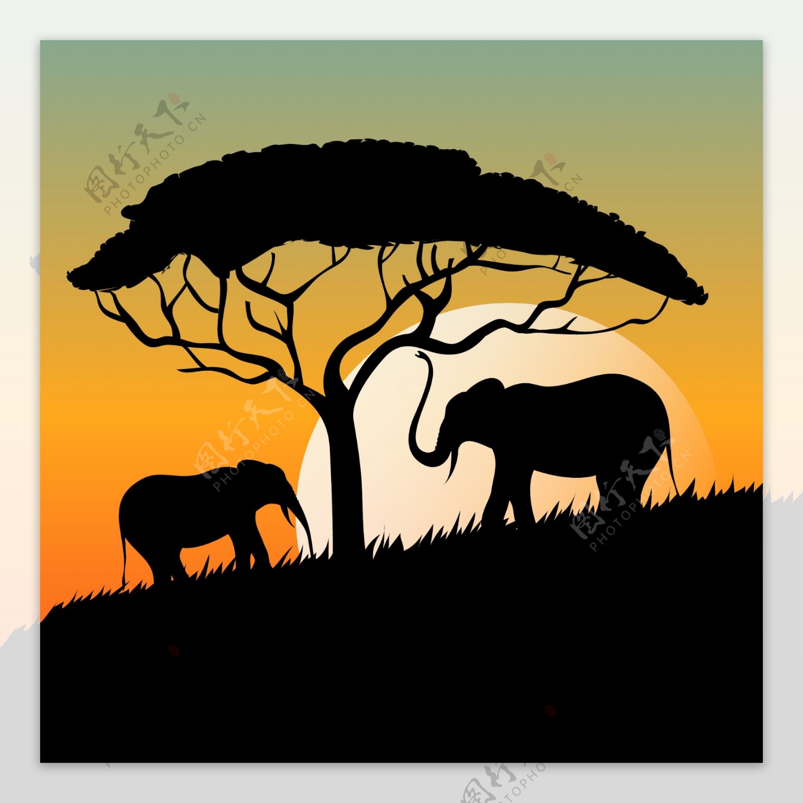 非洲日落与大象