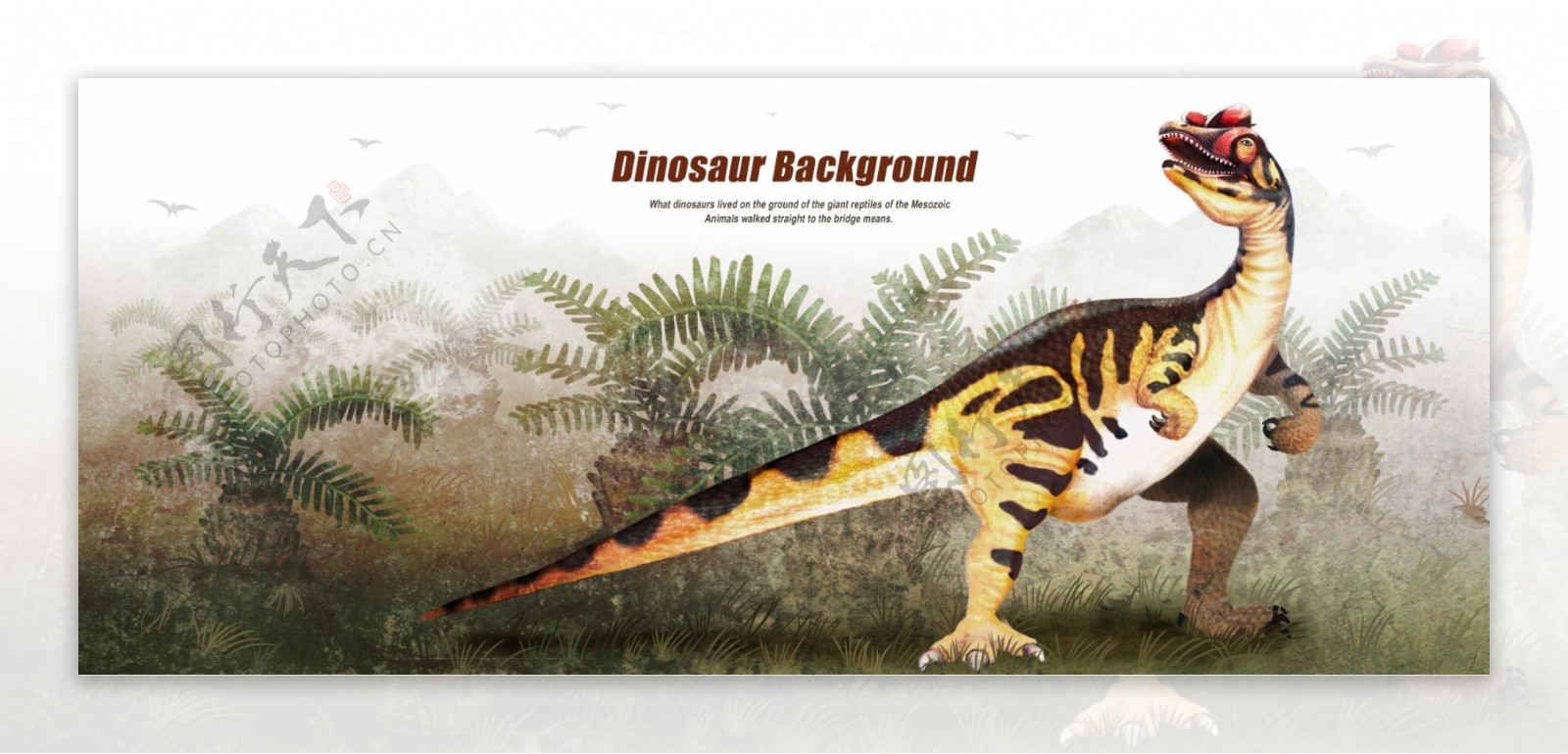 花纹恐龙宣传设计海报