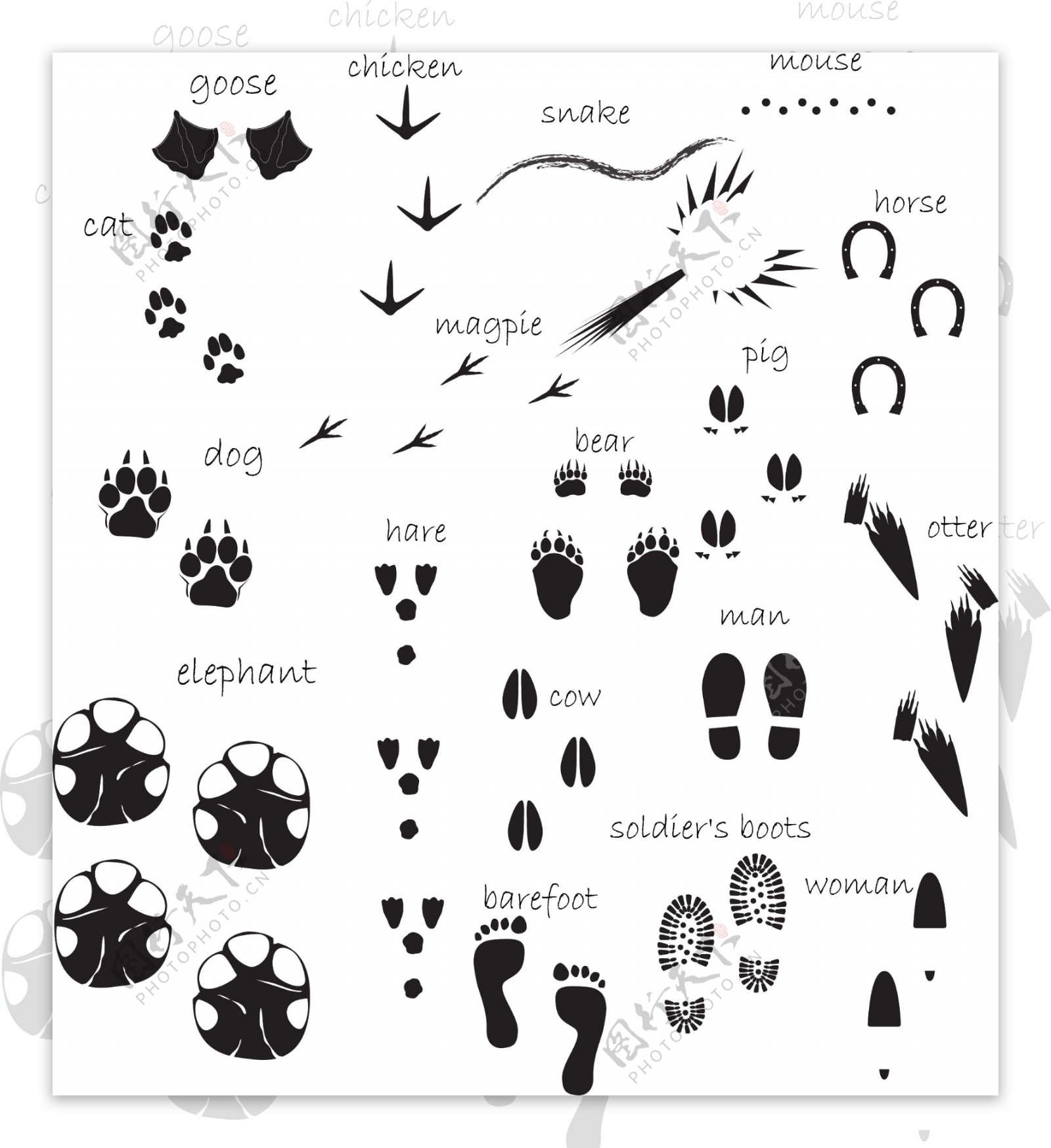 动物脚印图谱矢量素材