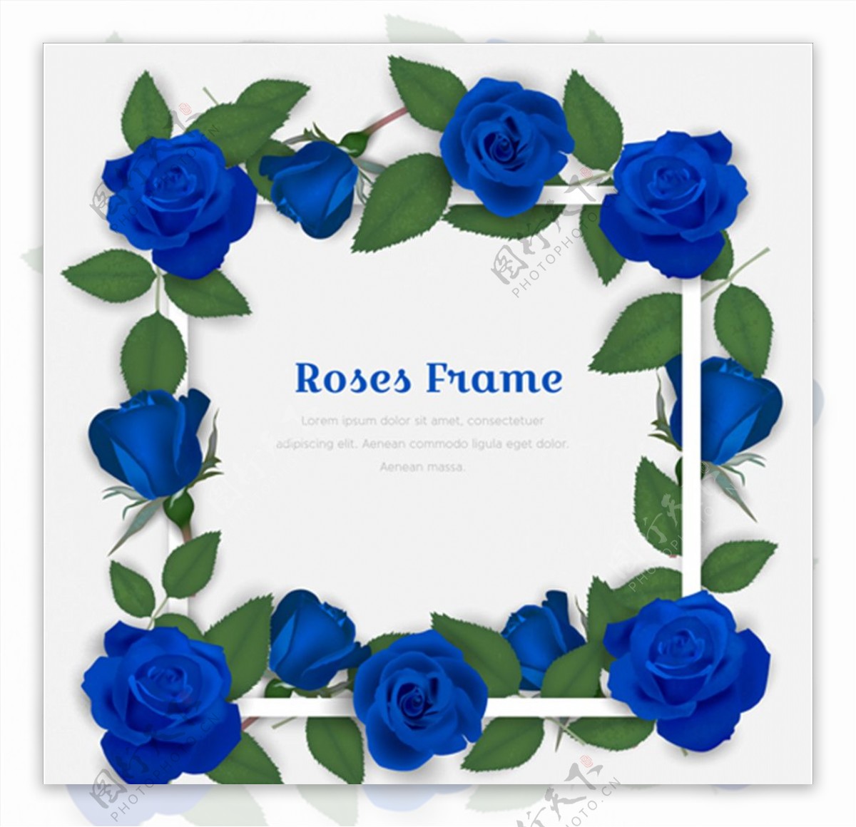 蓝色情人节玫瑰框架