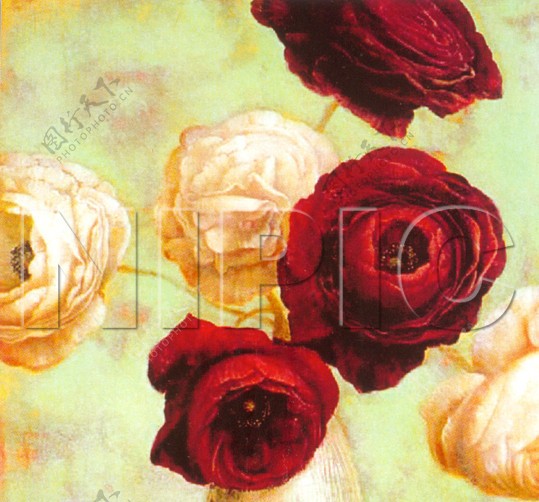 花卉油画50厘米X50厘米