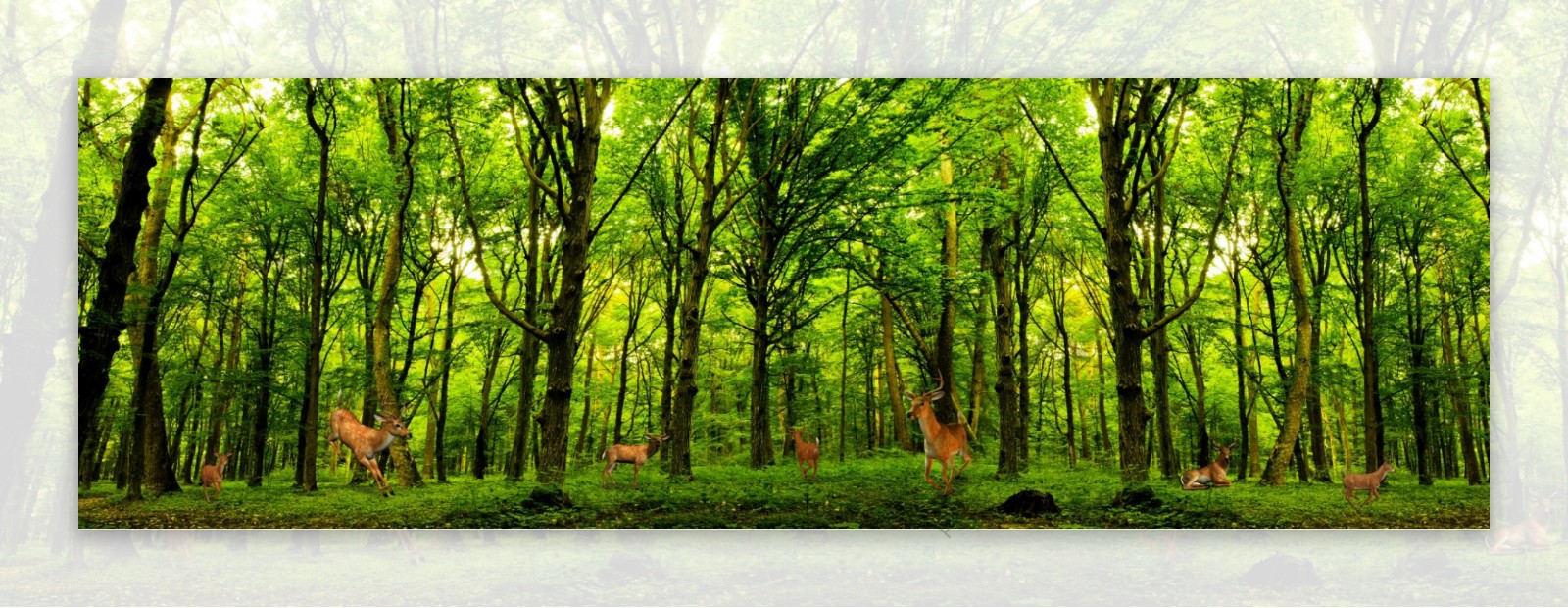 绿色森林3D立体主题空间背景墙