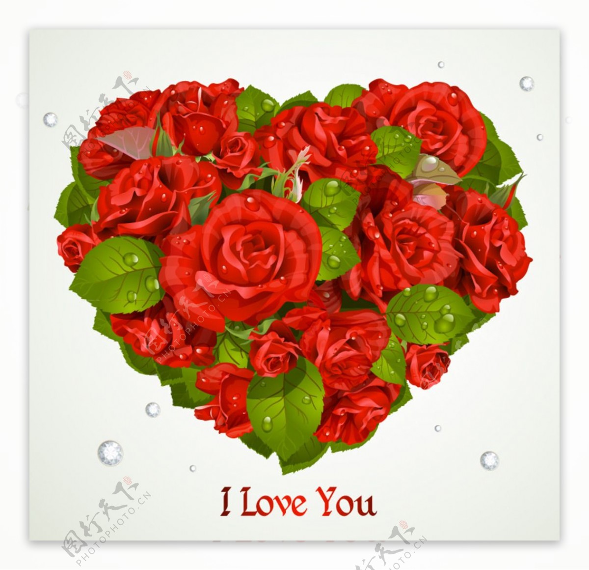 露珠玫瑰花图片素材-编号25017757-图行天下