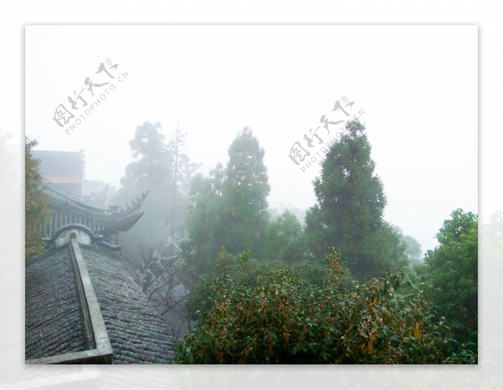 玉皇山顶的雾气