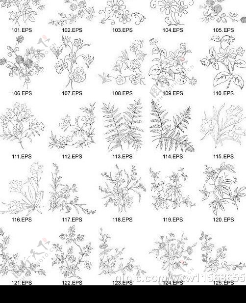 花类线描矢植物量图位图