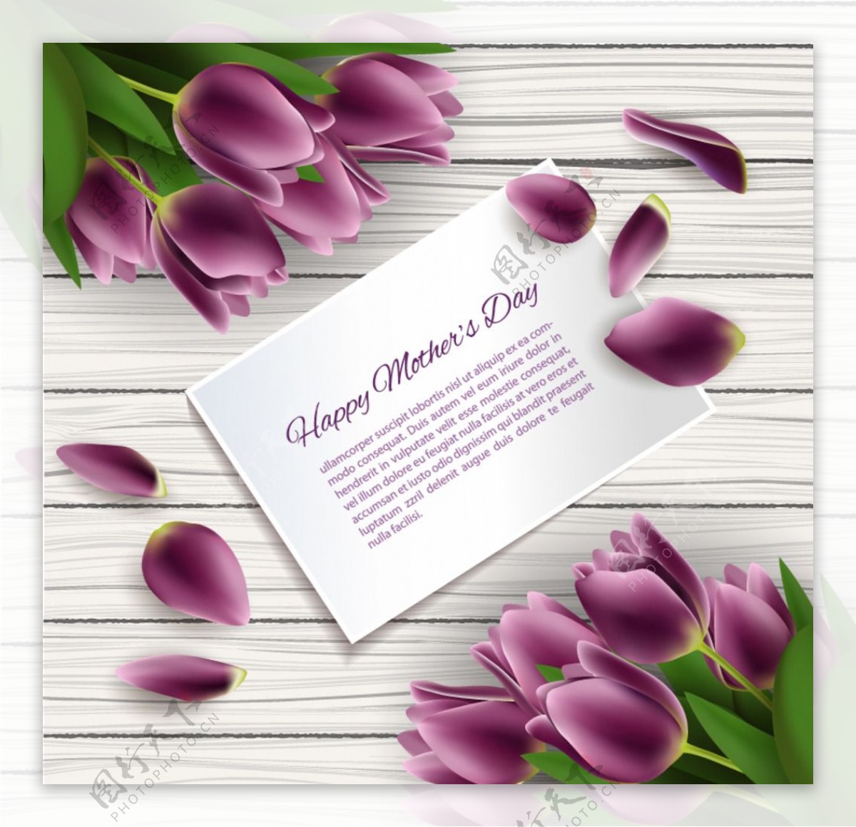 紫色郁金香母亲节卡片矢量素材