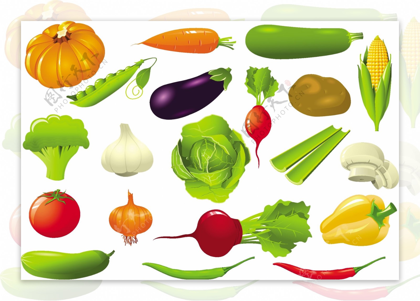 精品蔬菜高清矢量图