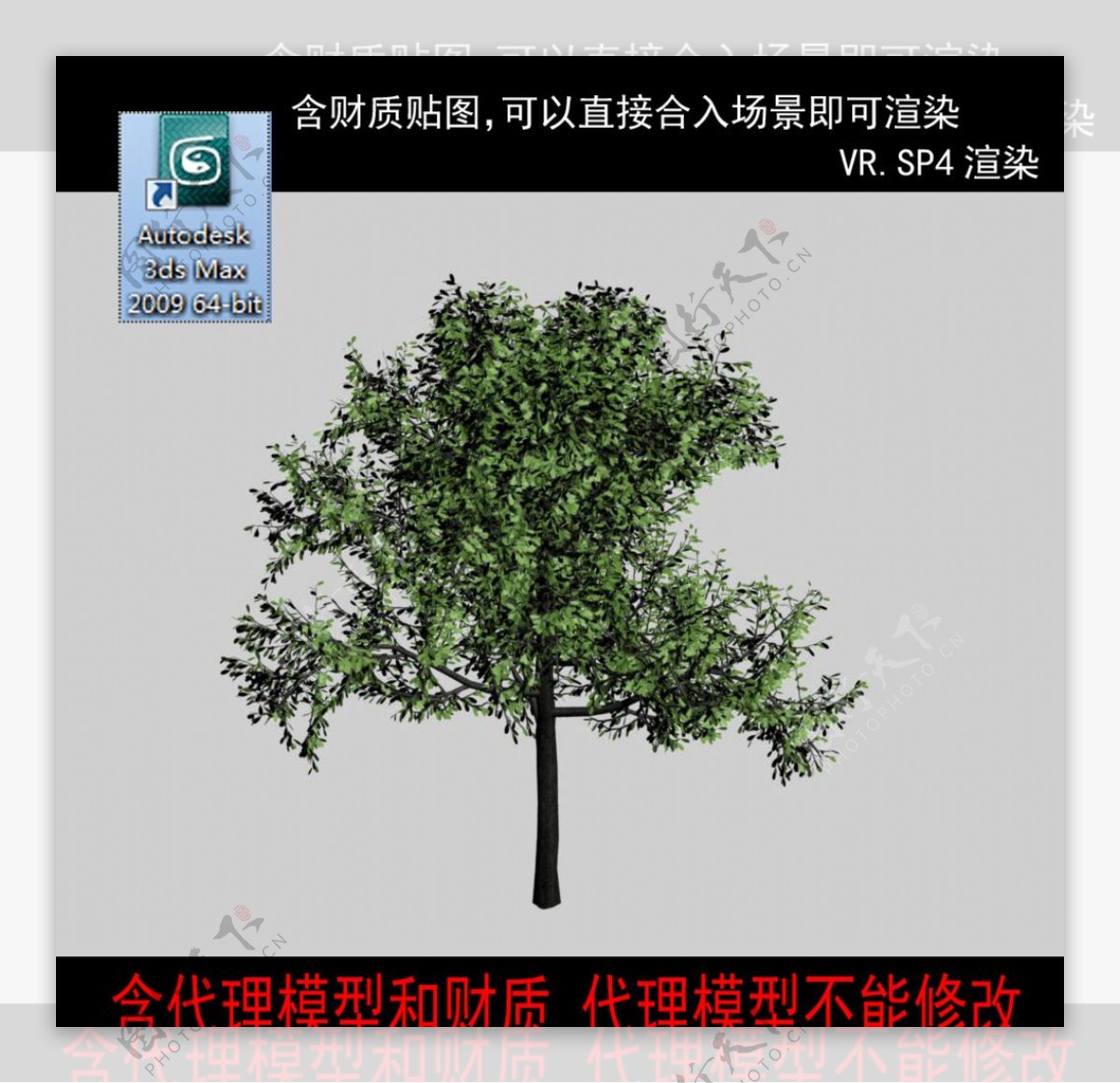 树模型