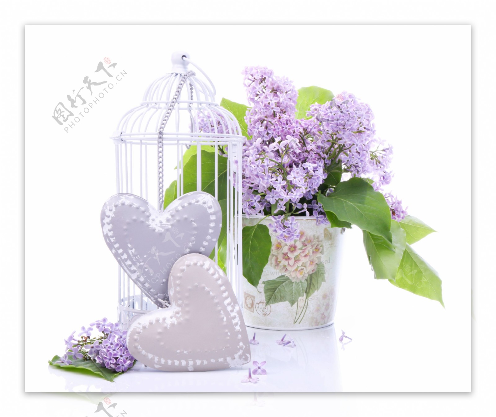 紫色植物花朵花瓶