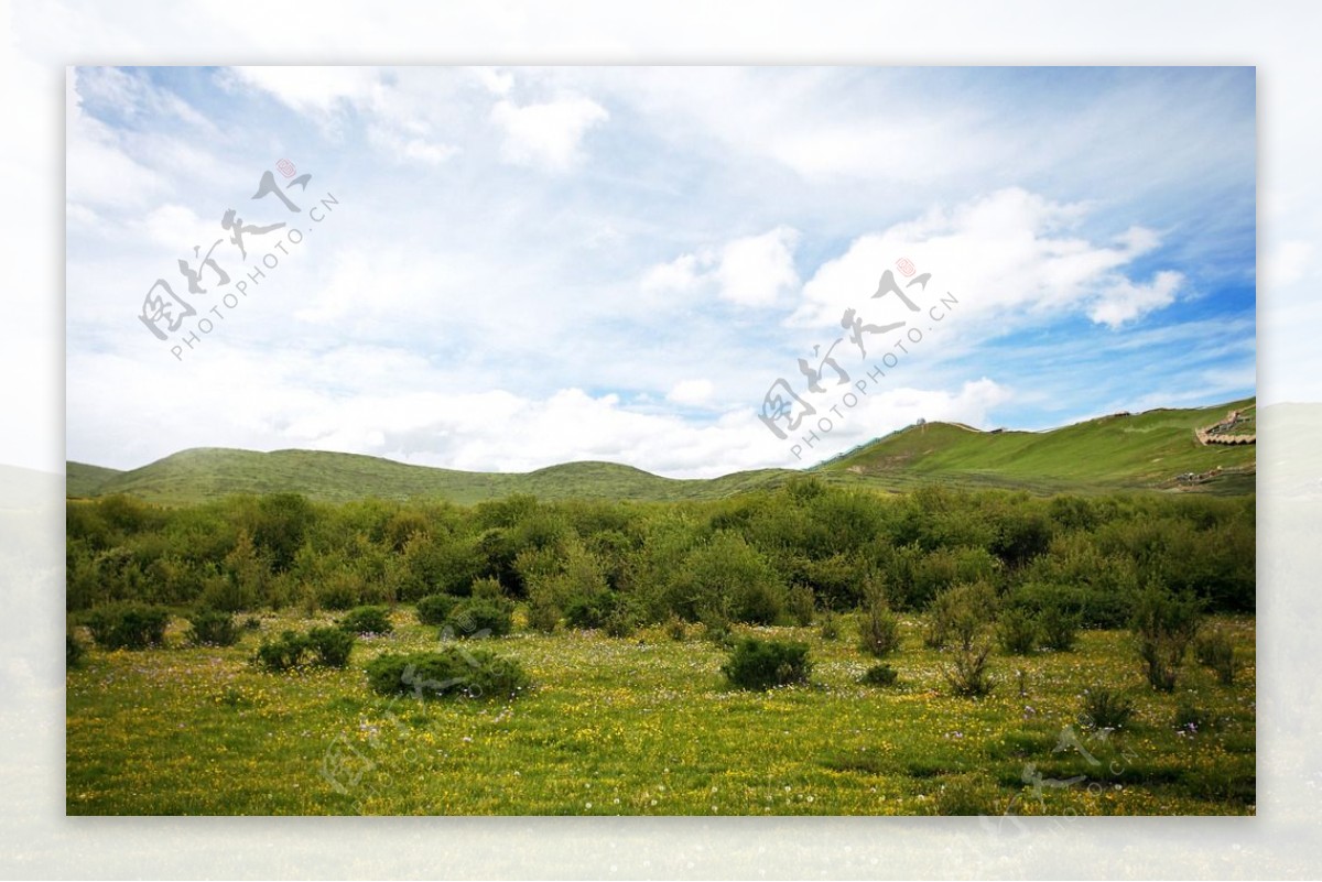 草原风景