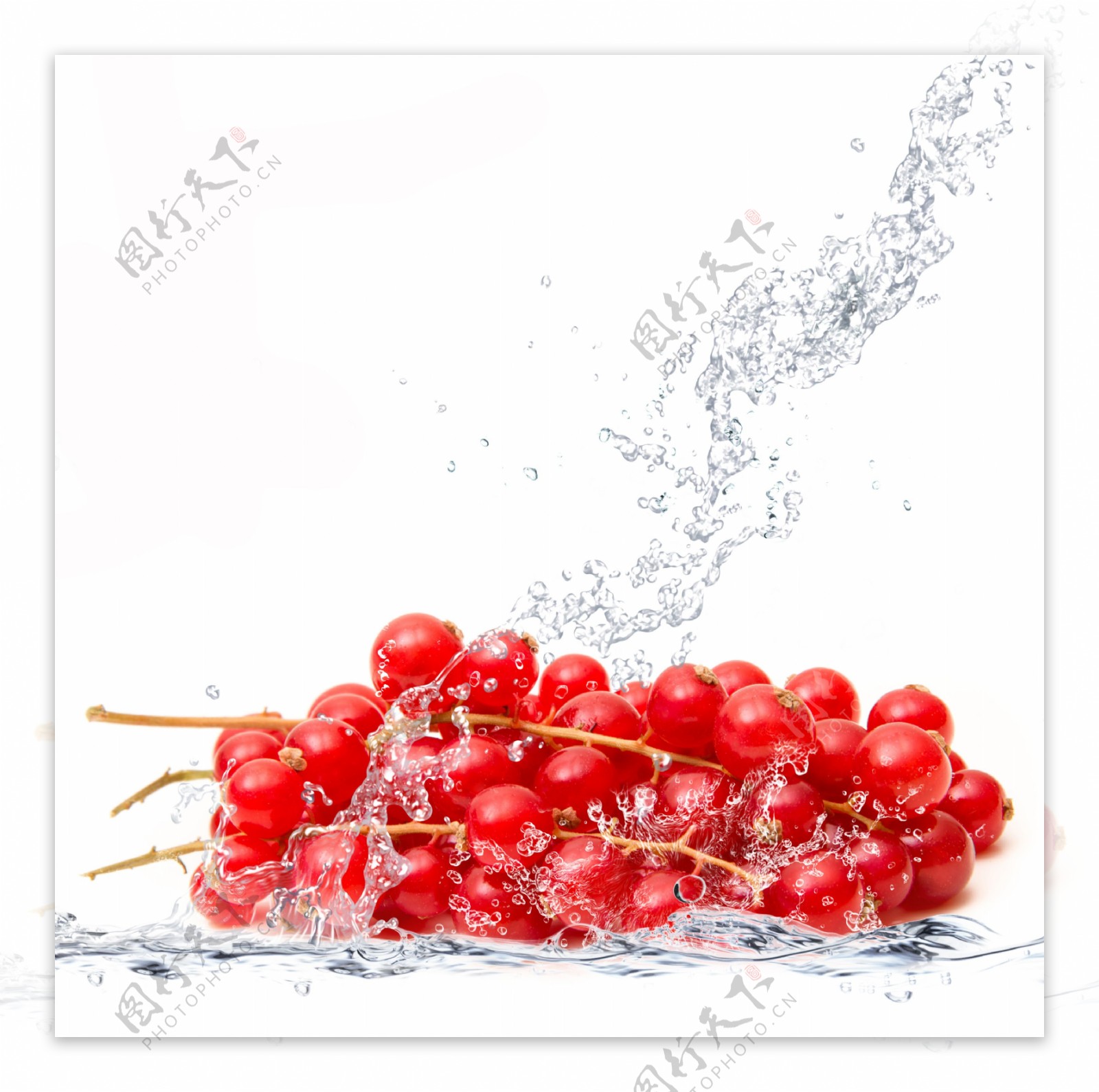 水洗蔓越莓