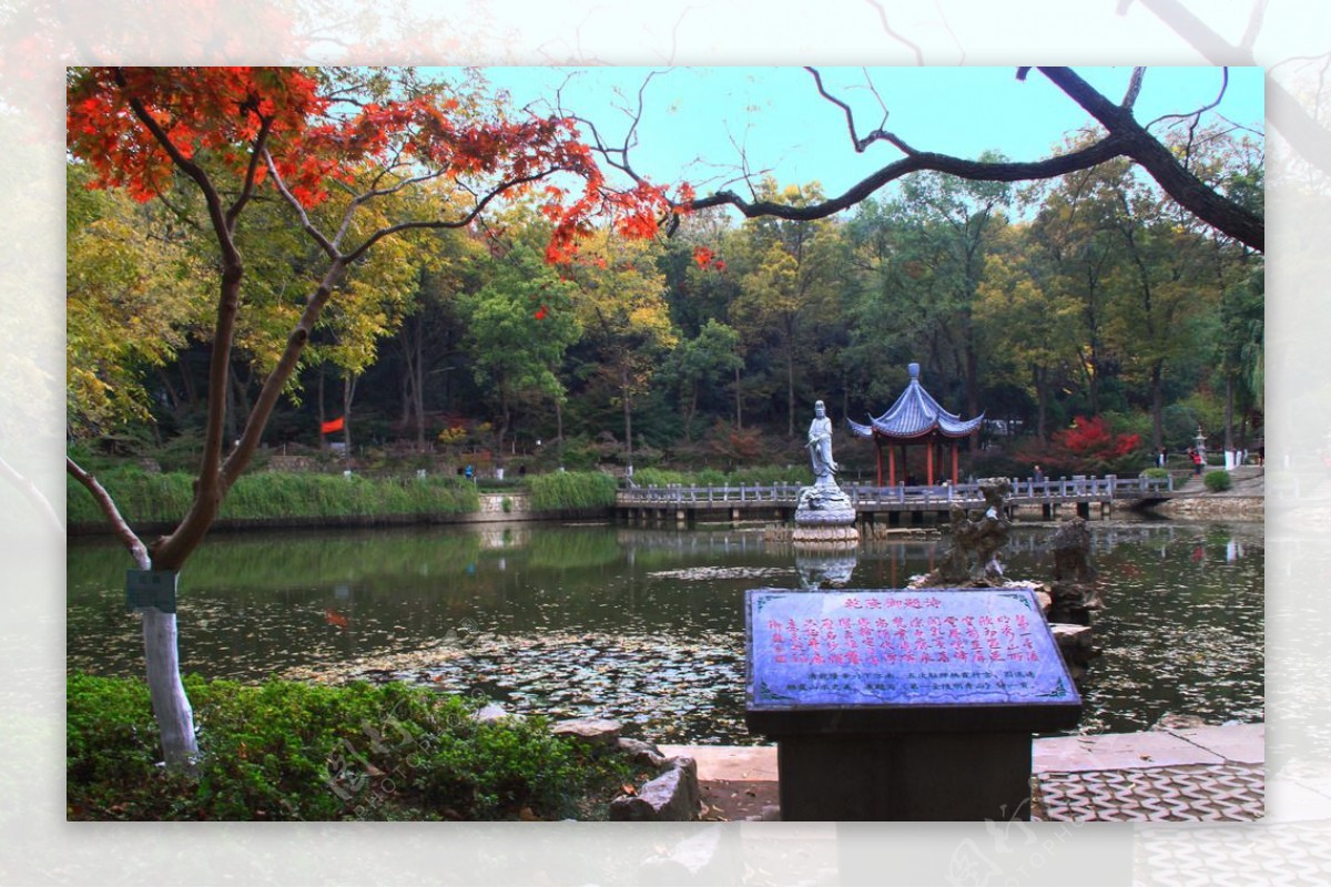 栖霞山红叶栖霞古寺