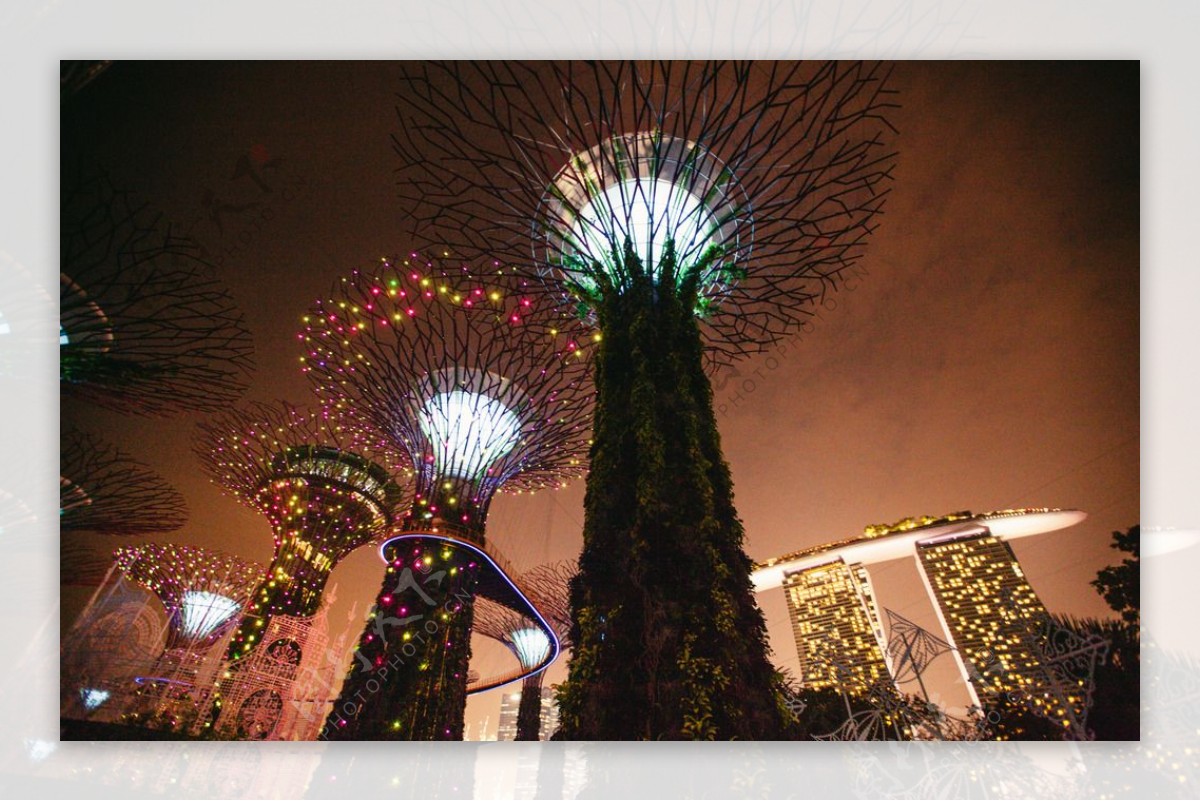 新加坡夜景风光