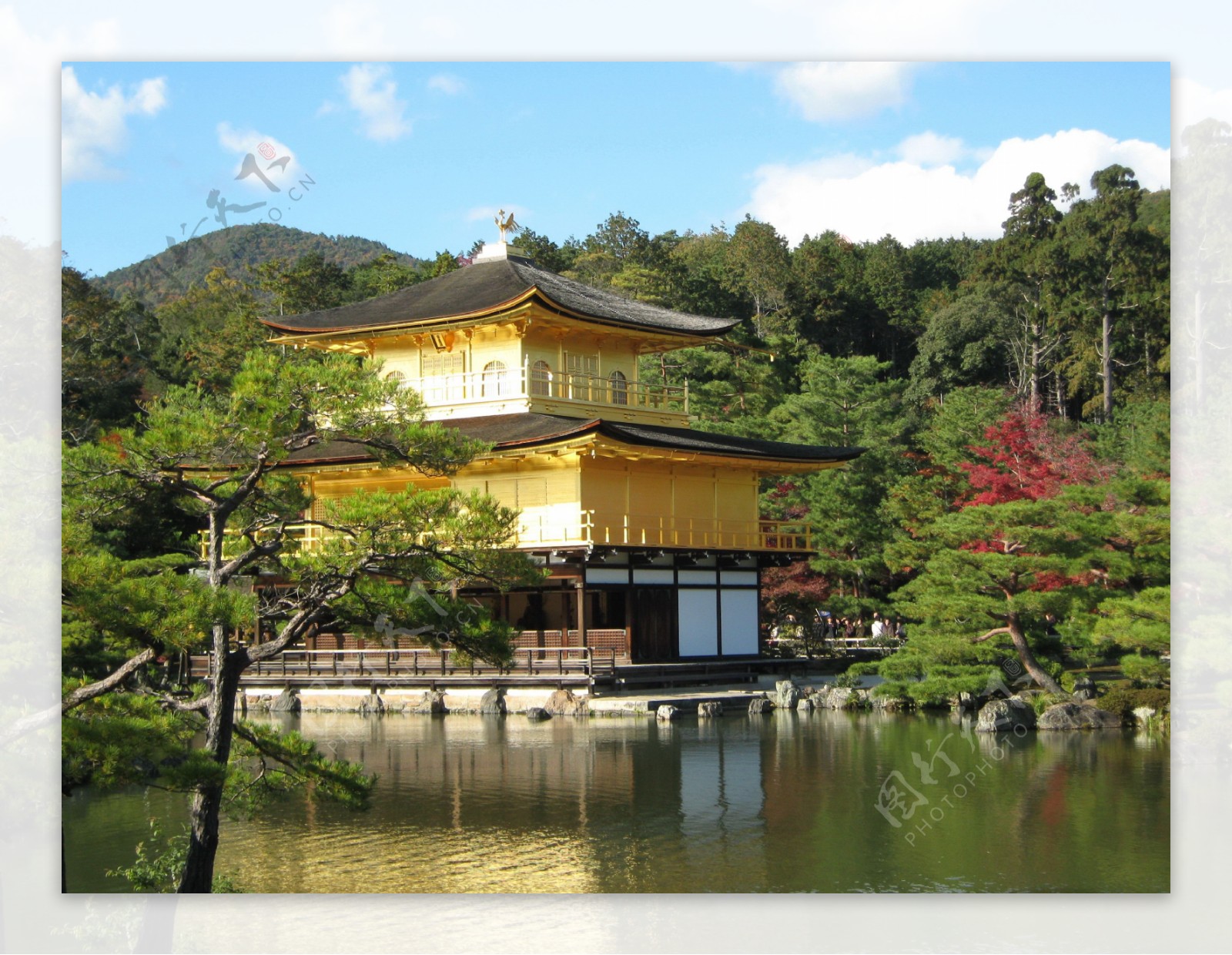 日本京都金阁寺