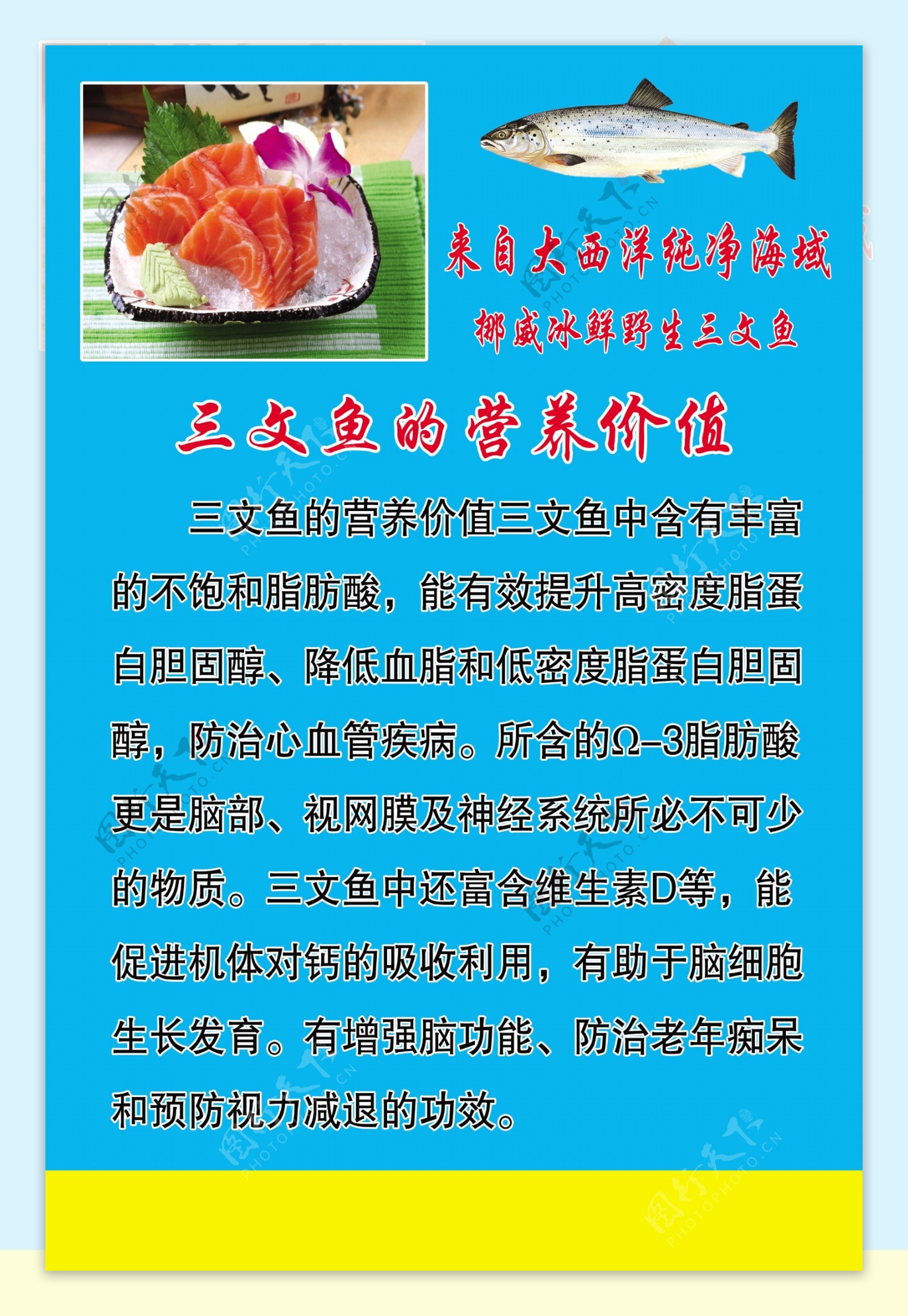 三文鱼的营养价值