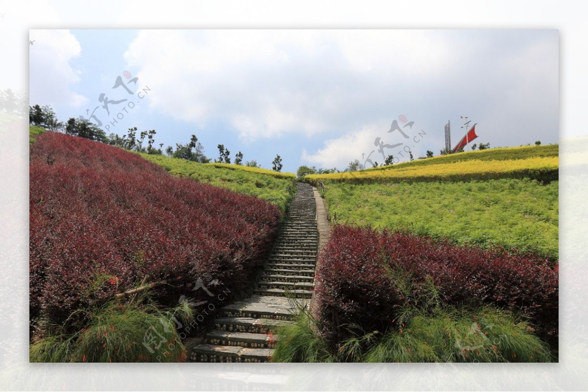 【携程攻略】深圳东部华侨城茶溪谷景点,很美的茶溪谷。对到深圳过春节的北方游客的游玩建议：1、因为景区很…