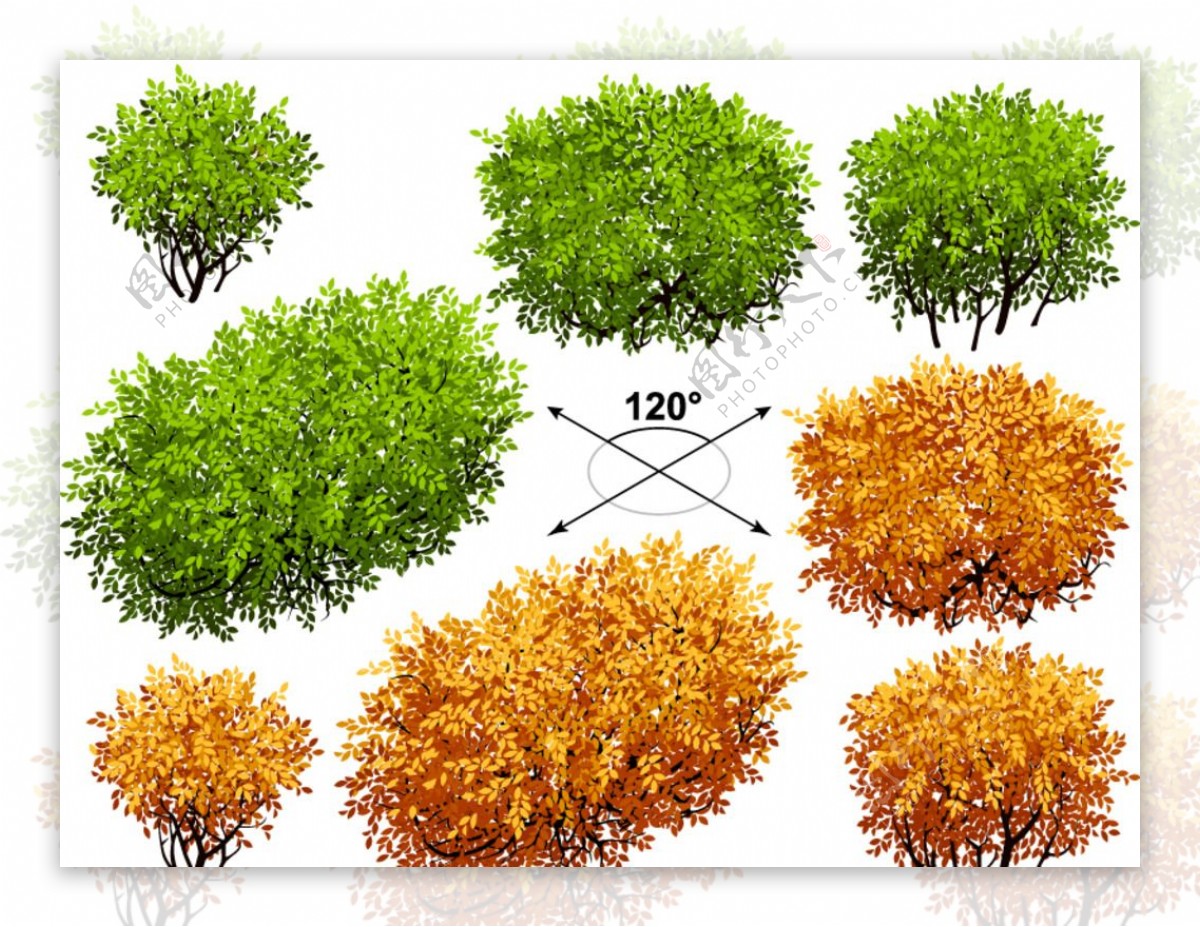 矮树丛设计矢量素材