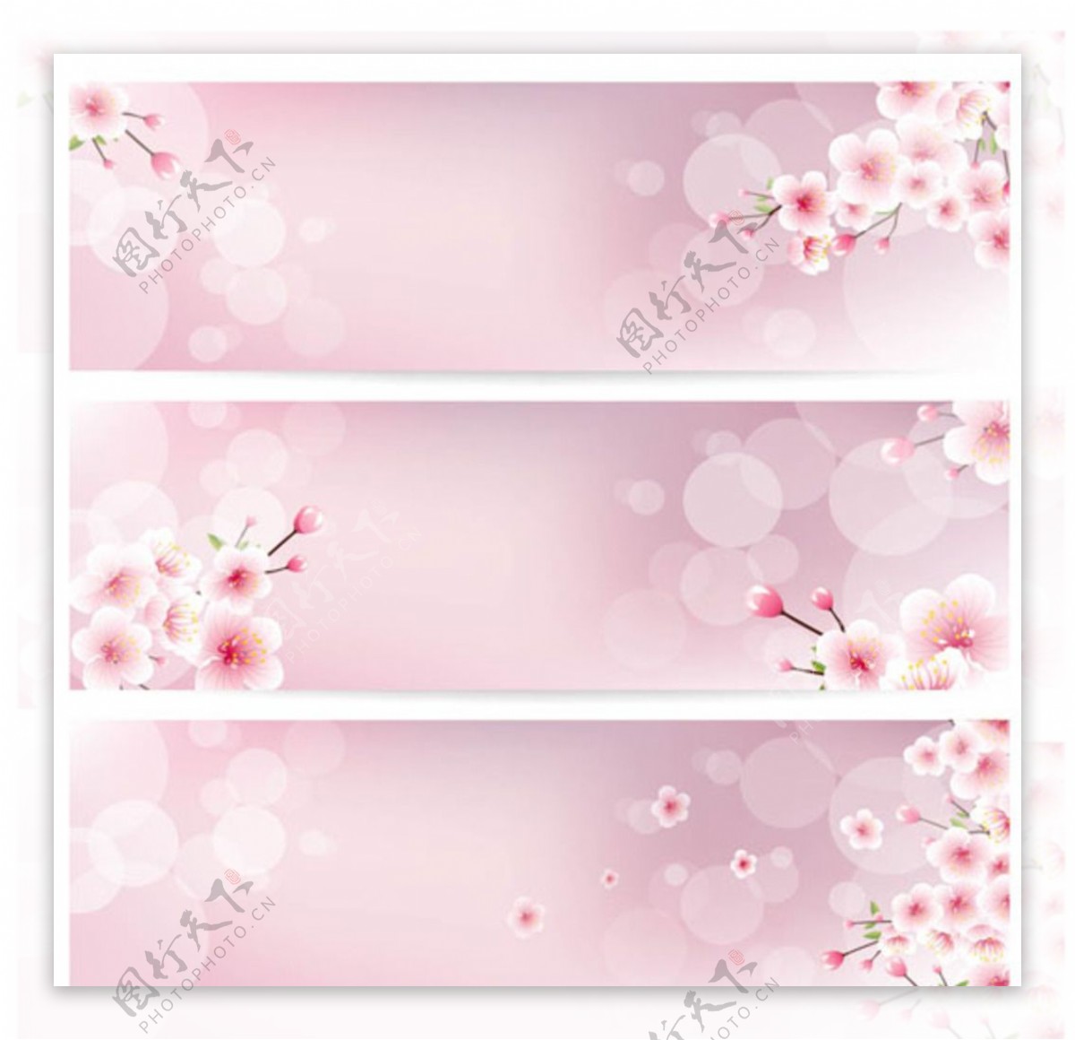三款春季樱花横幅背景