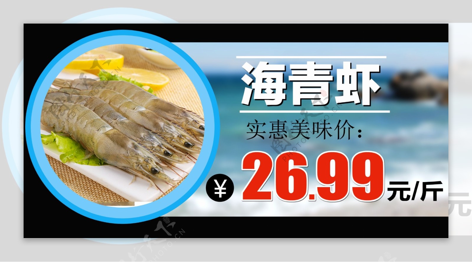 海青虾裁型