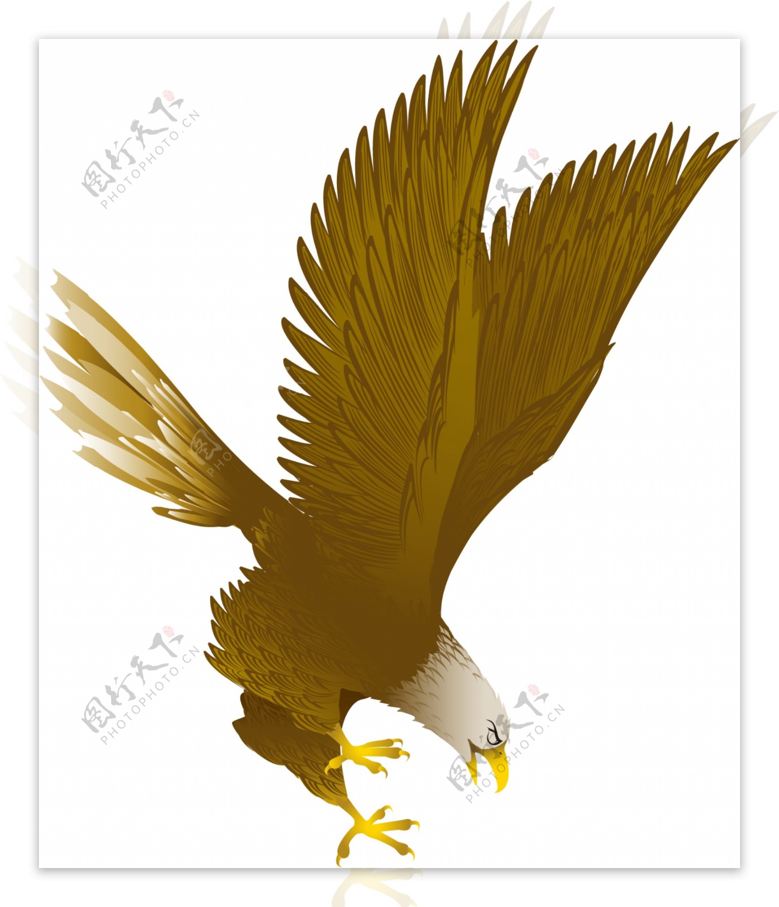中国吉祥物素材俯冲的鹰
