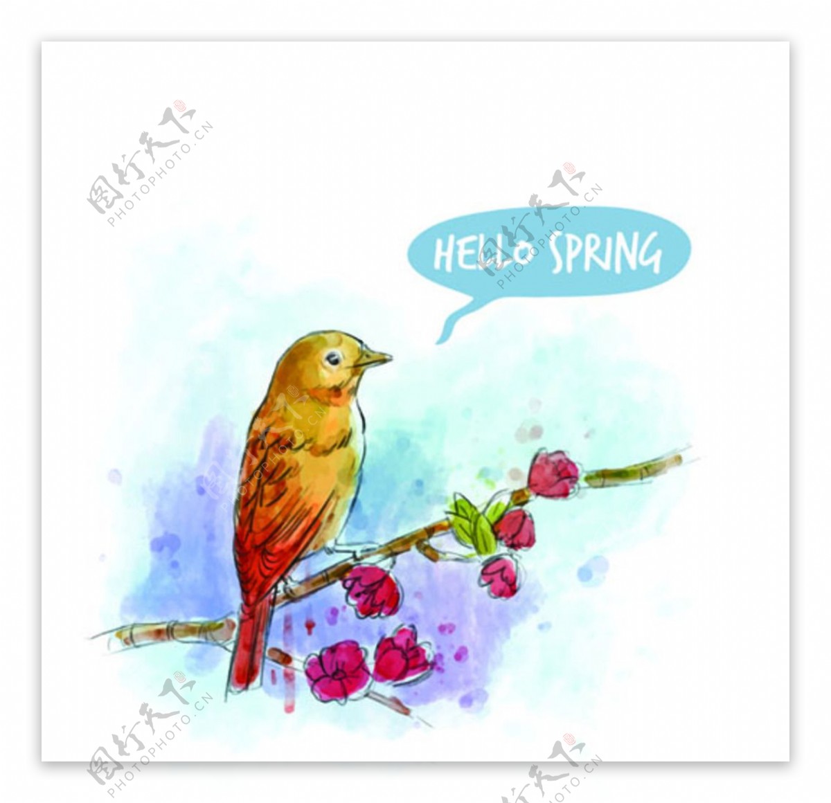 手绘水彩春季花卉小鸟插图