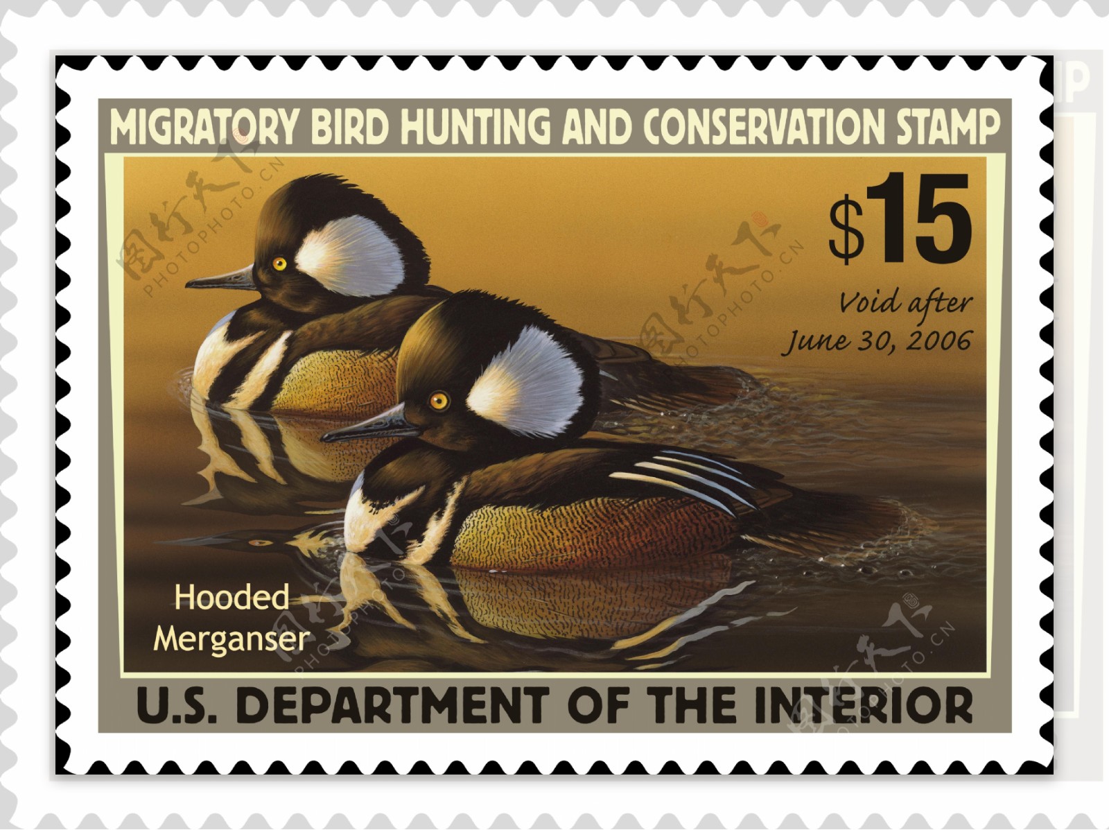 保护鸭系列宣传邮票
