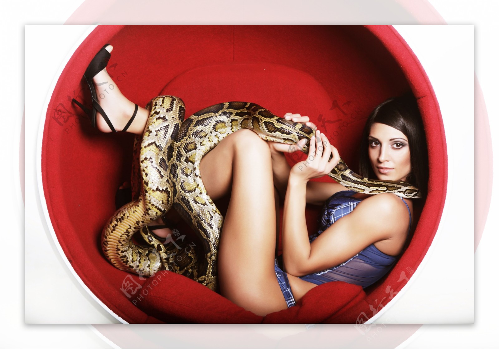 蛇与美女图片