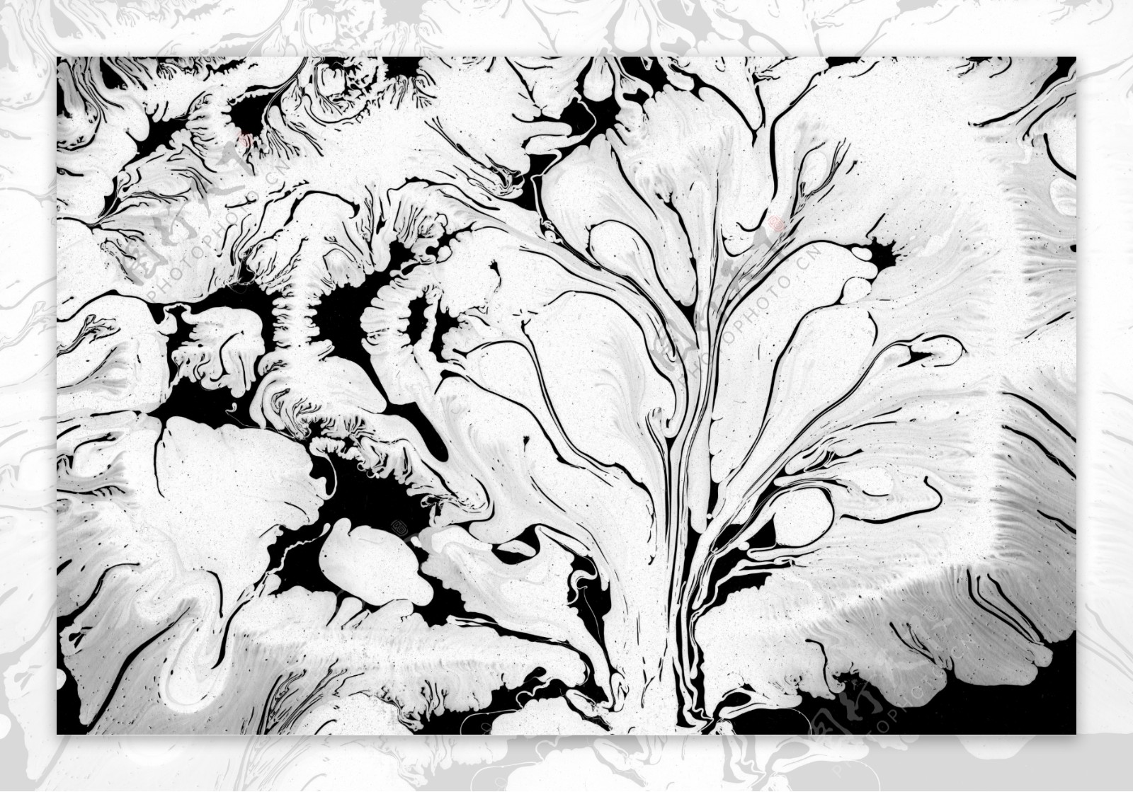 黑白树干纹理贴图