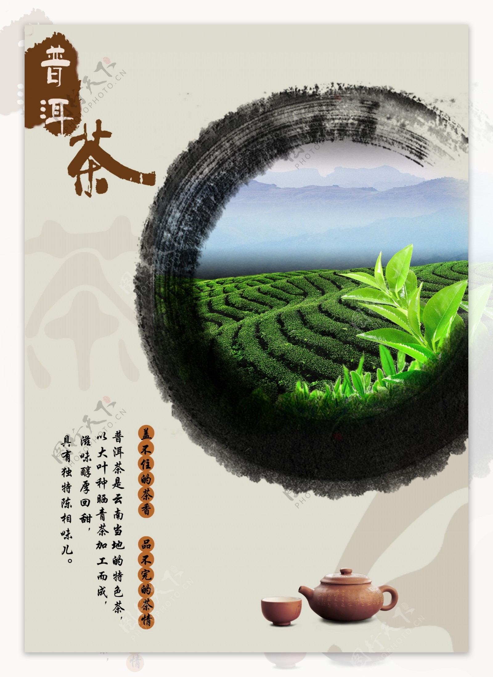 普洱茶商业海报