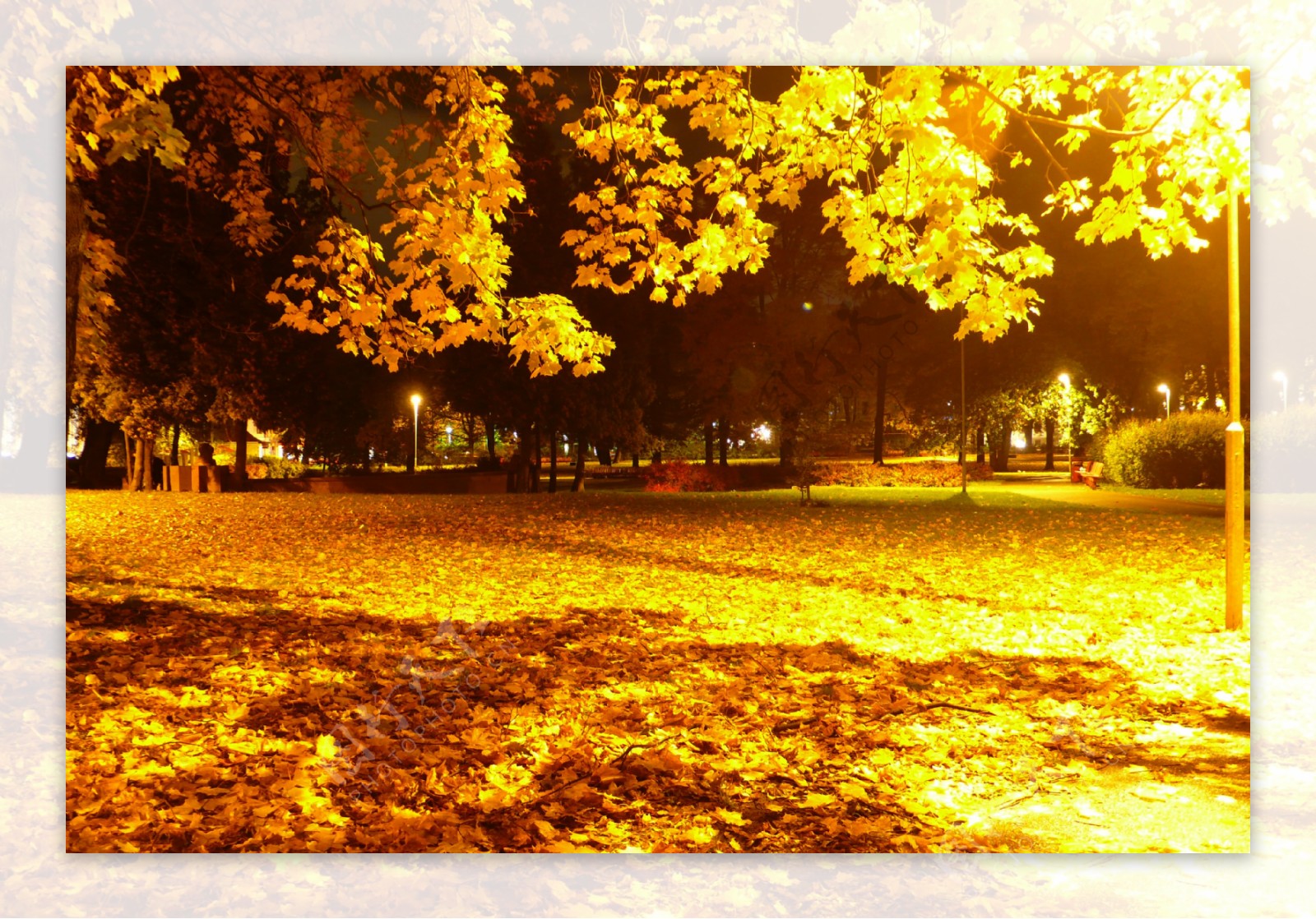 秋天傍晚美景图片