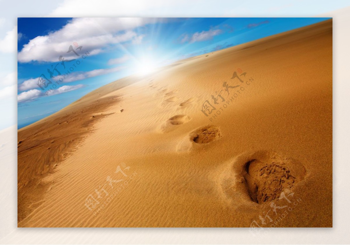 埃及的沙漠图片图片