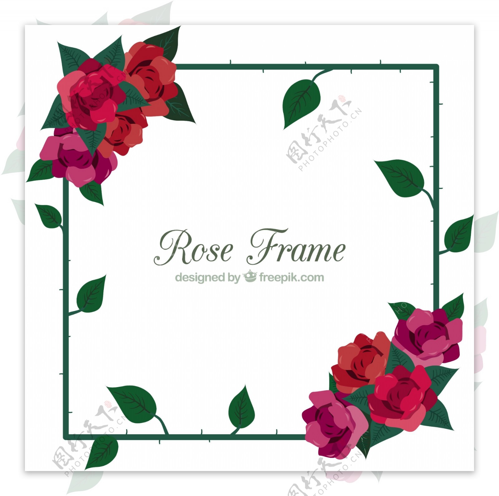 漂亮的彩色玫瑰花装饰图案框架
