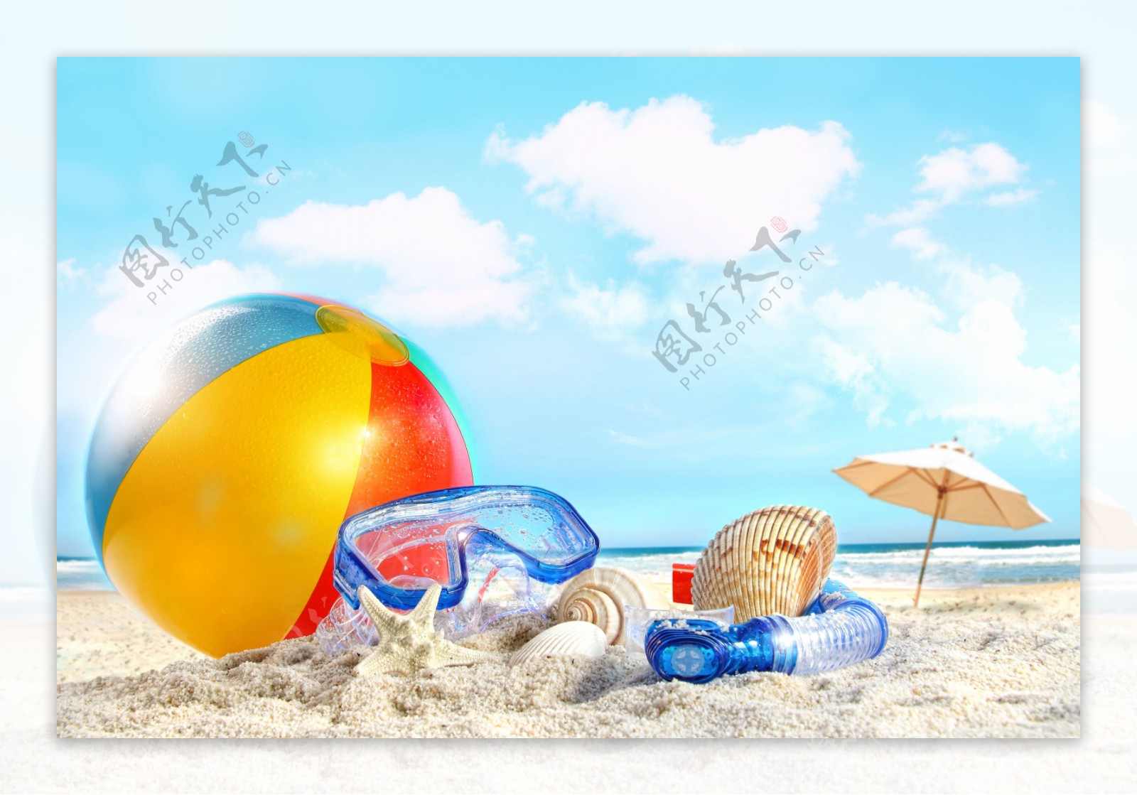 沙滩皮球海星图片