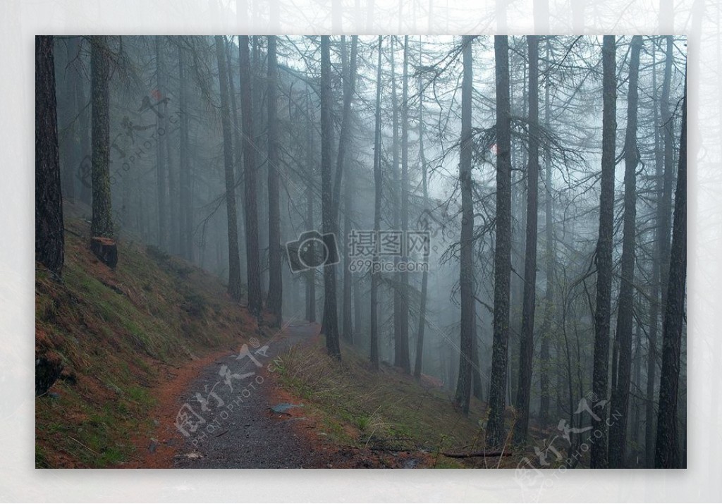 自然森林徒步旅行路径陡峭的斜坡步道路径