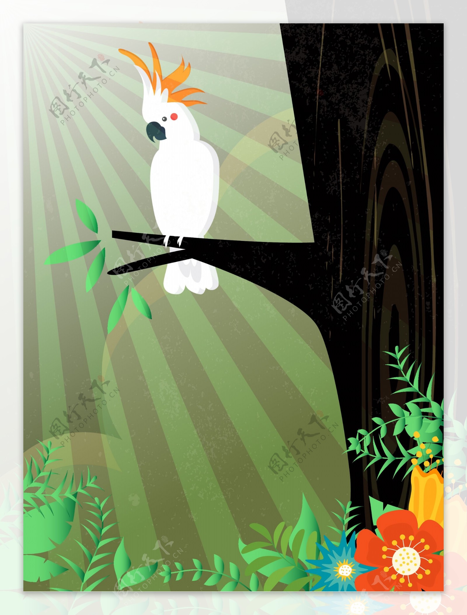 手绘热带雨林鹦鹉插画