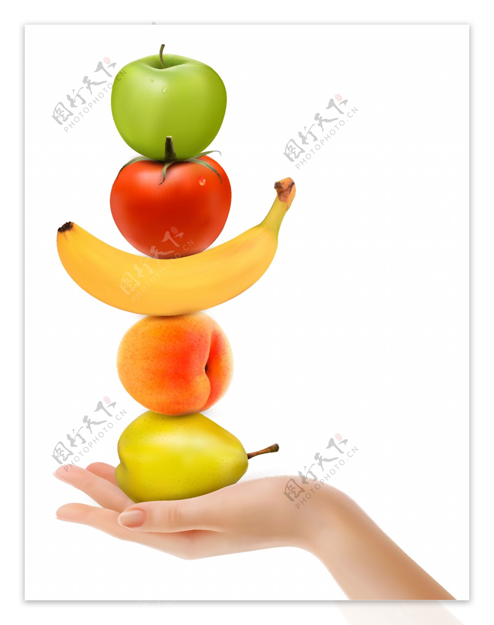单手托举水果的手臂矢量图
