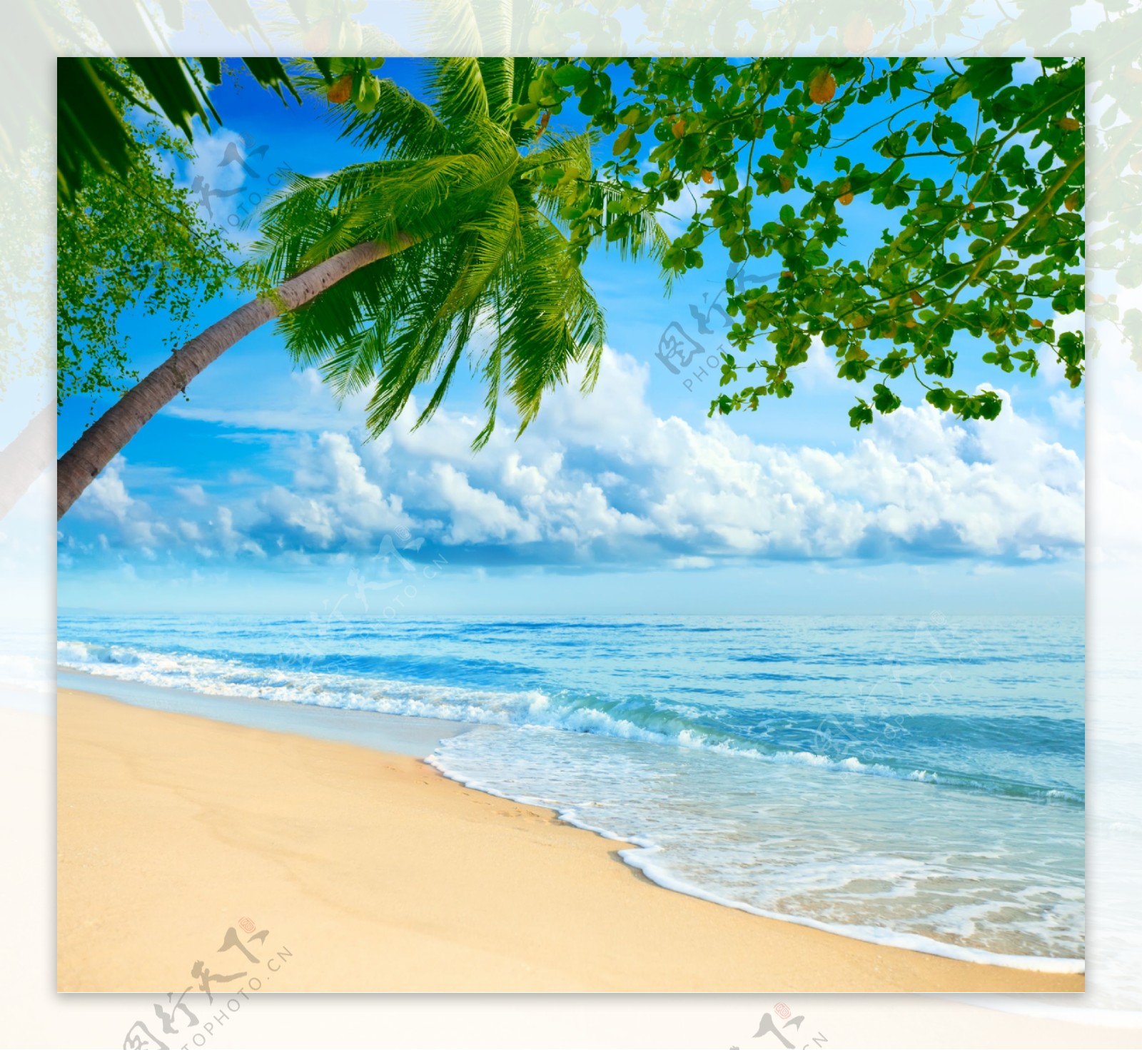 椰树海滩风景图片