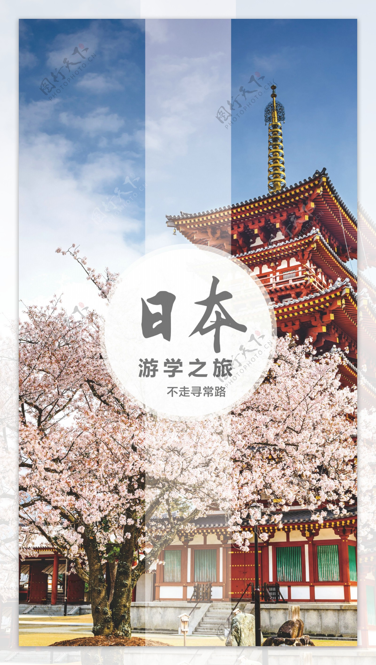 旅游日本樱花粉色画册
