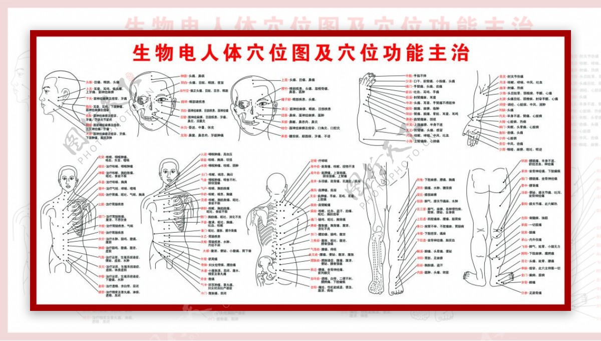 人体穴位图