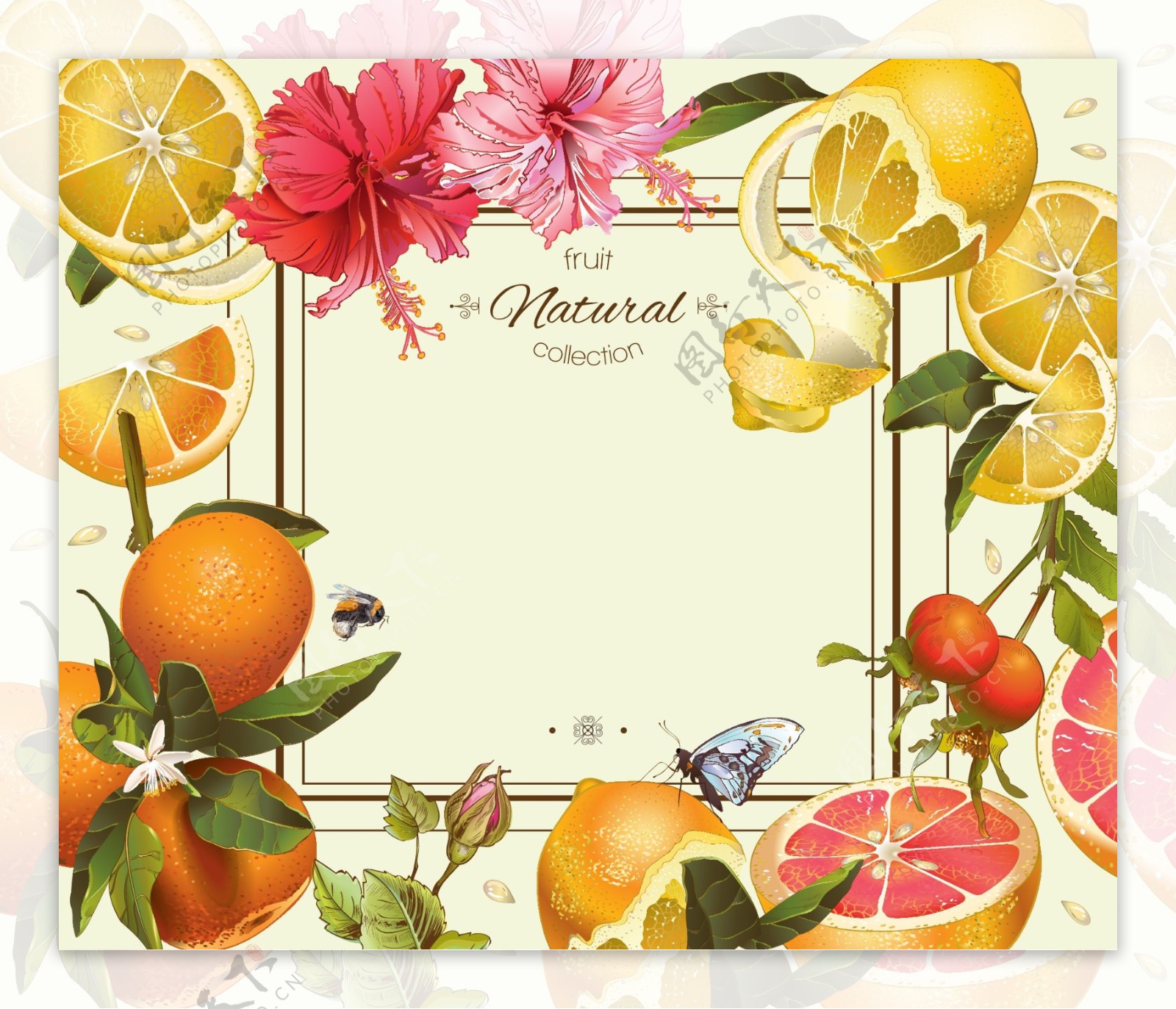 水果和花朵边框