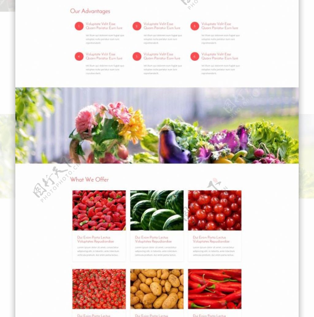 蔬菜生鲜超市配送企业网页