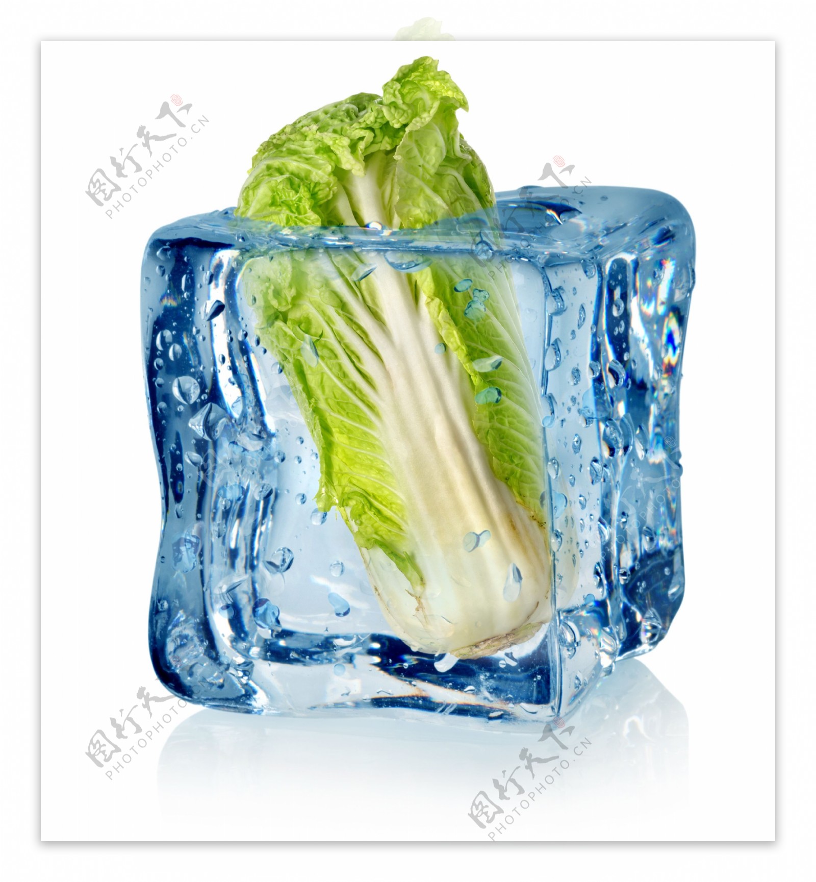 白菜冰冻保鲜图片