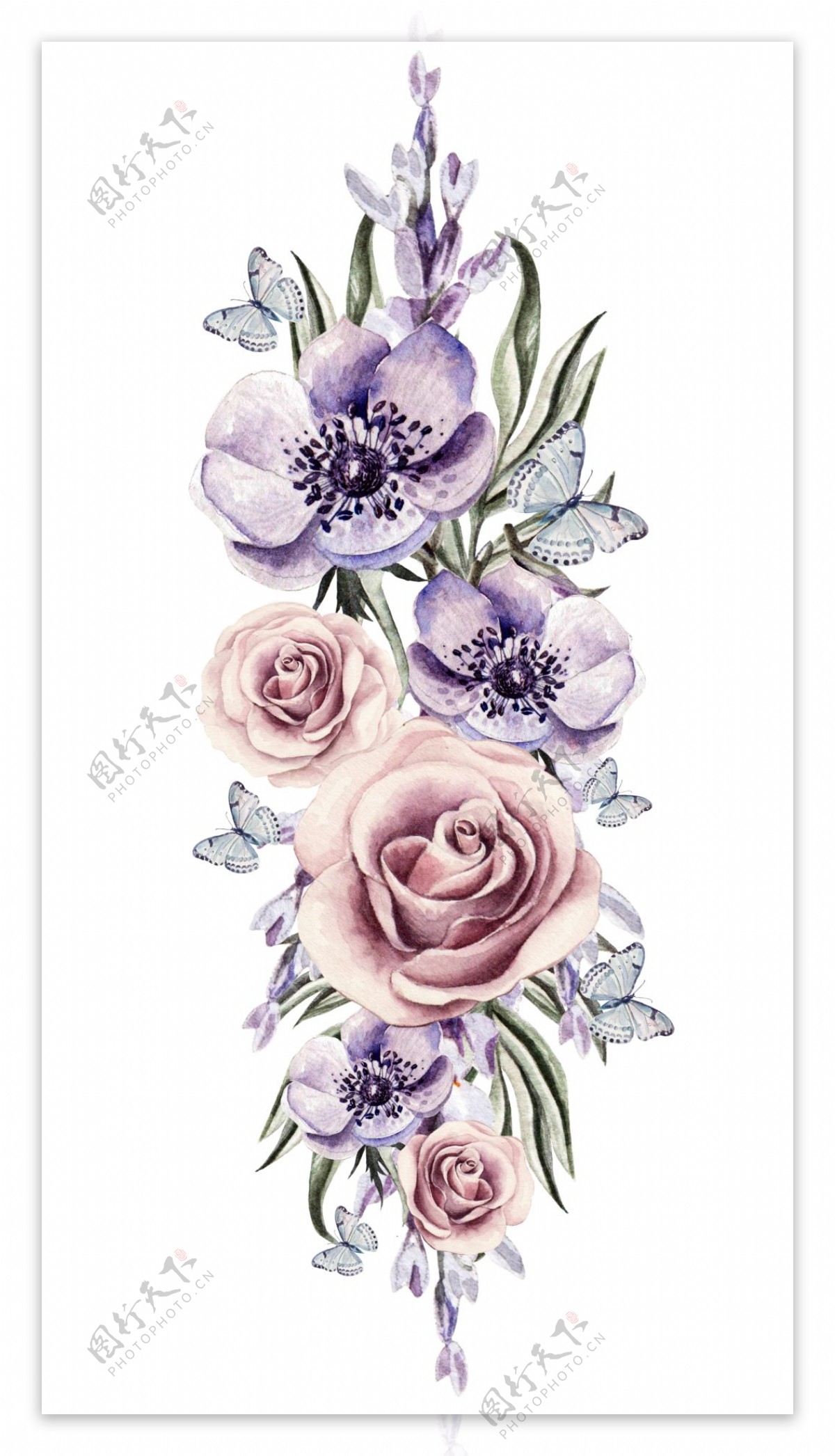 美丽紫色花朵高清图片素材