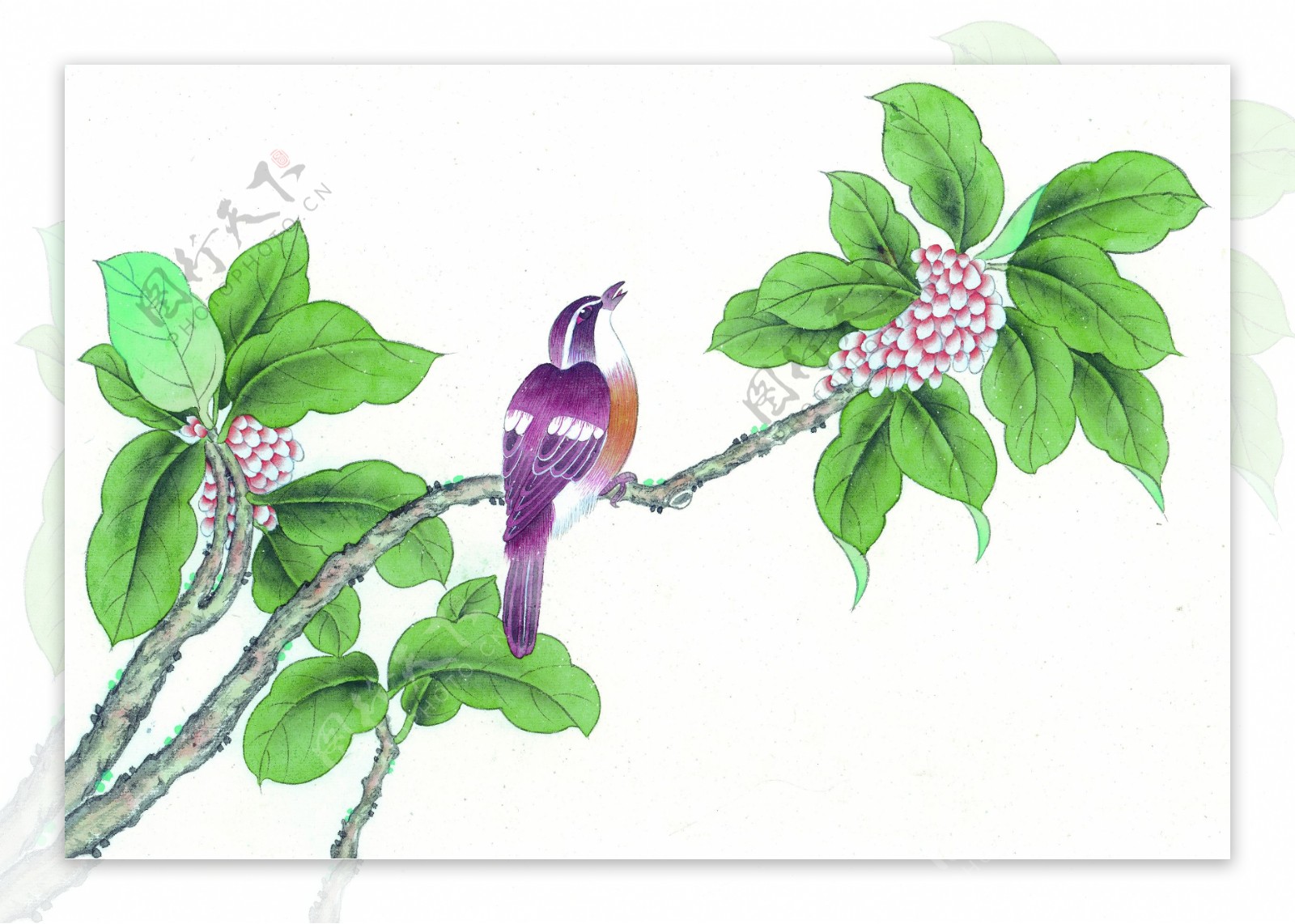 水墨植物鸟类图片