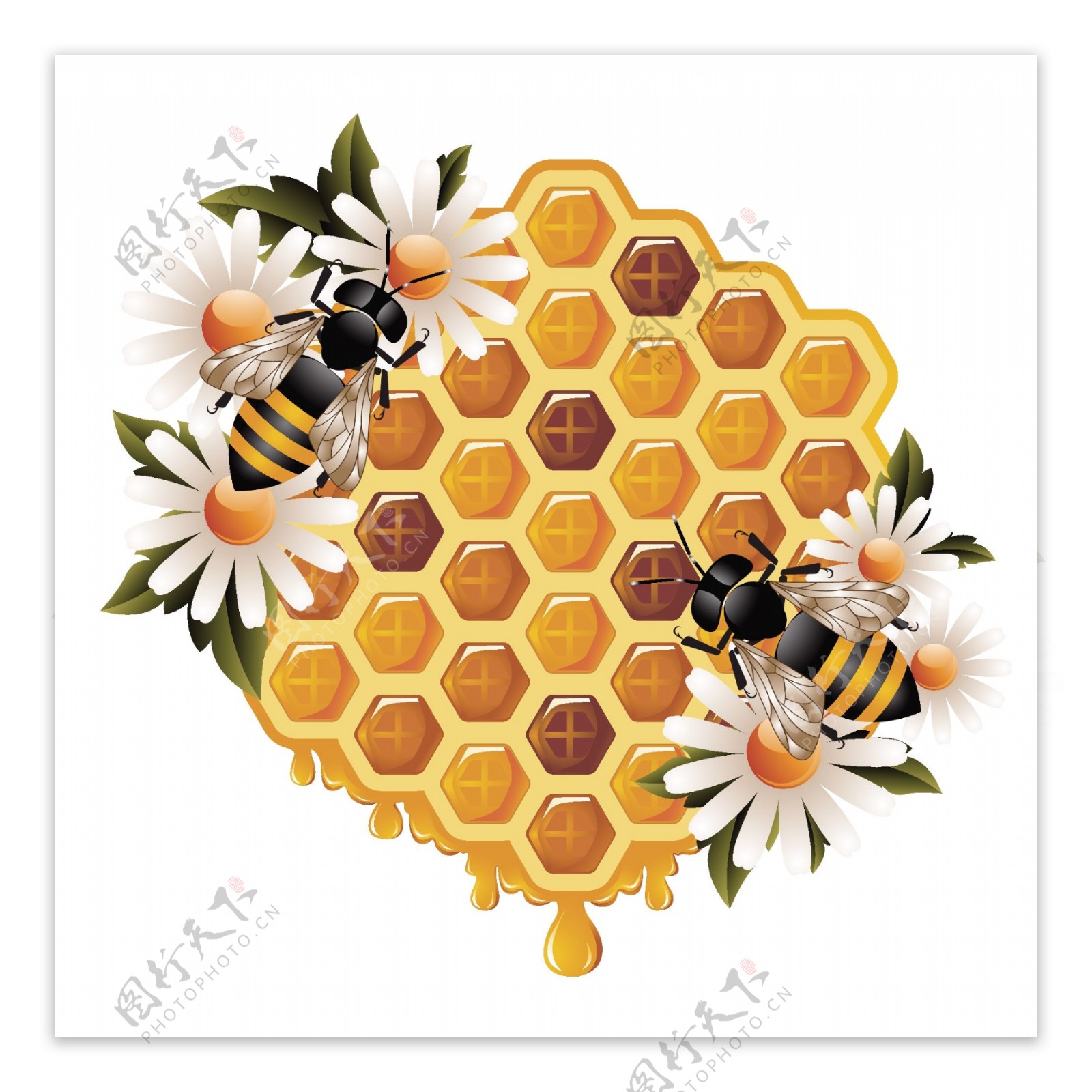 创意蜜蜂蜂巢矢量素材